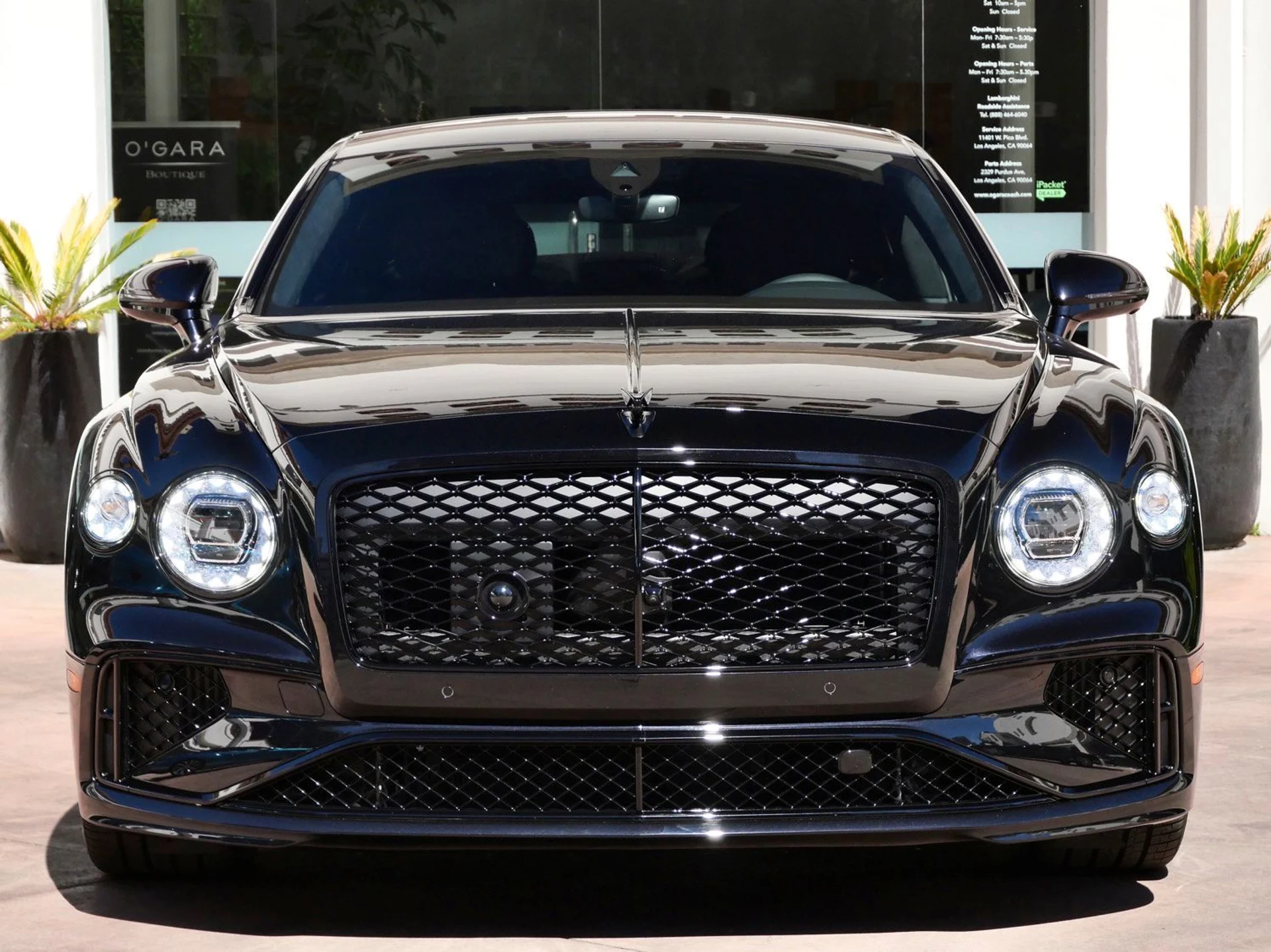 mph010_3938756644_356ae8da330cd448d35fb08486d97f94x_1b2cb56e56