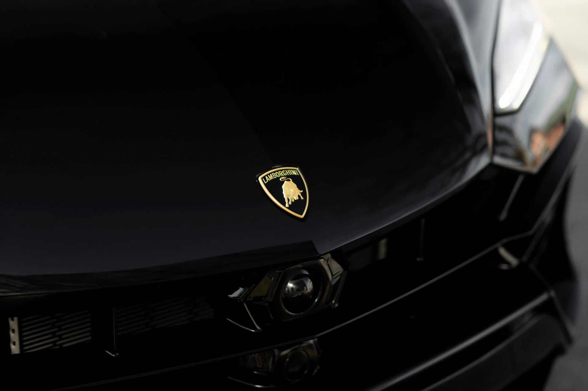 mph010_3947475371_b8071bf43bff4a759dffc22e1f44e3ca_f63f599aea