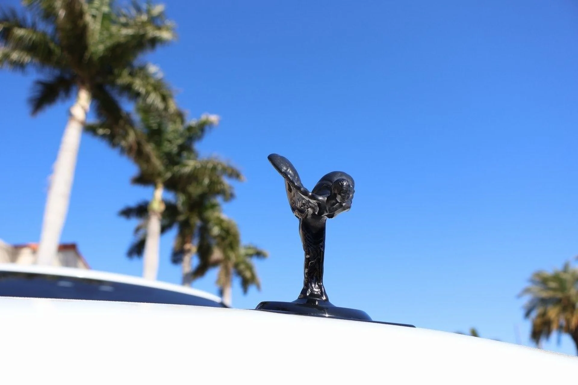 mph010_3951169613_11_c65c68f669