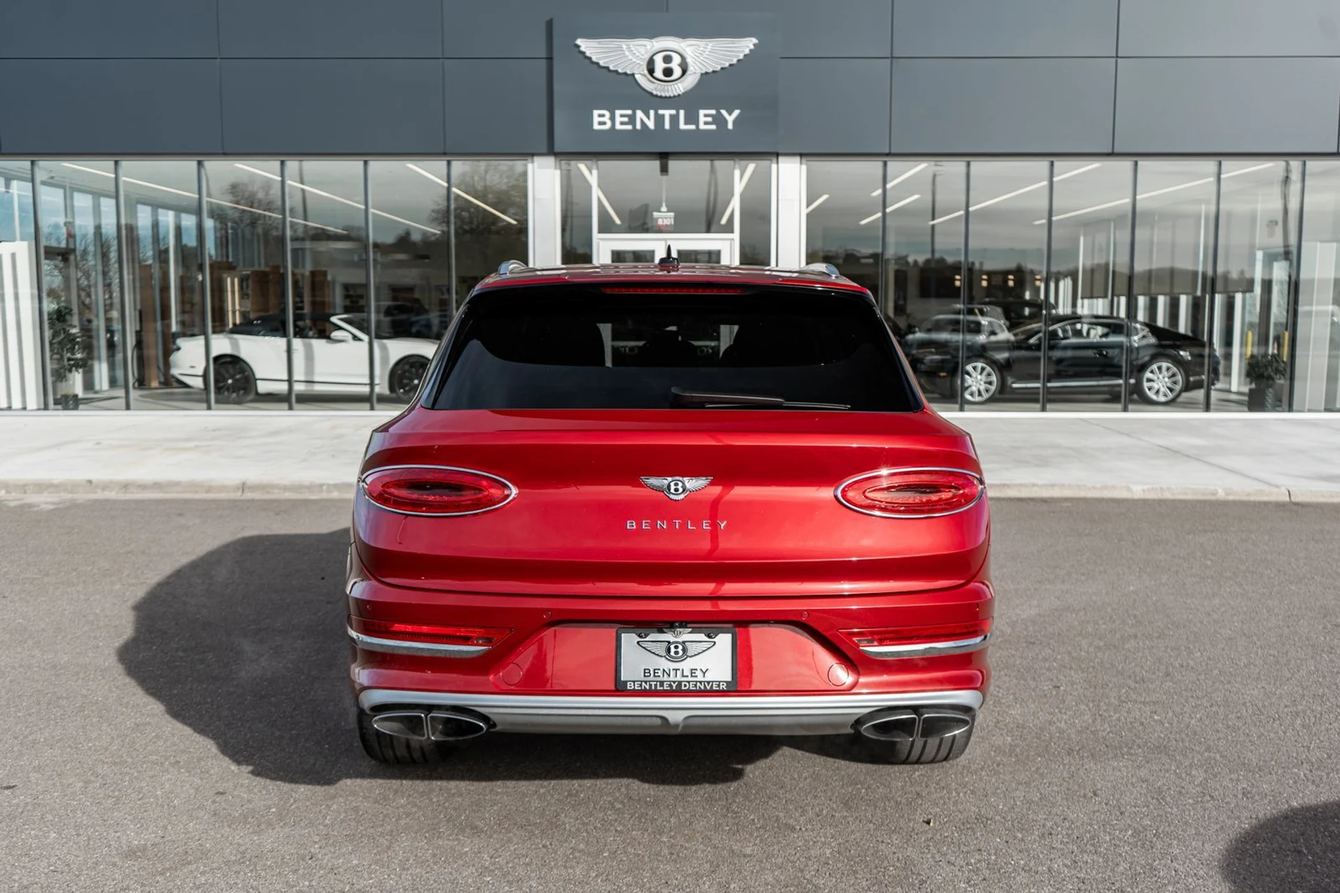 mph010_3961877516_e1ced547_1f08_4813_a335_0c493c91d879_e25cd0f558