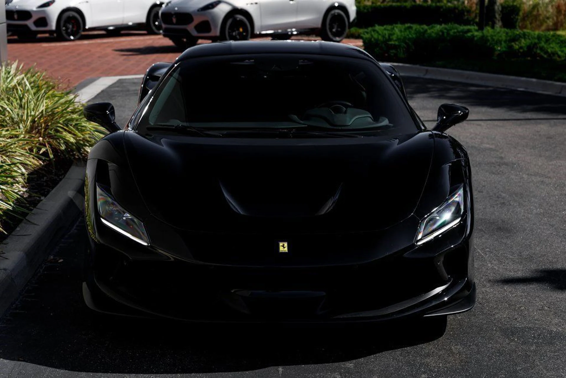 mph010_3974576652_c3b6072180b449d41464a6e0e3f4f990_95ffe7376c