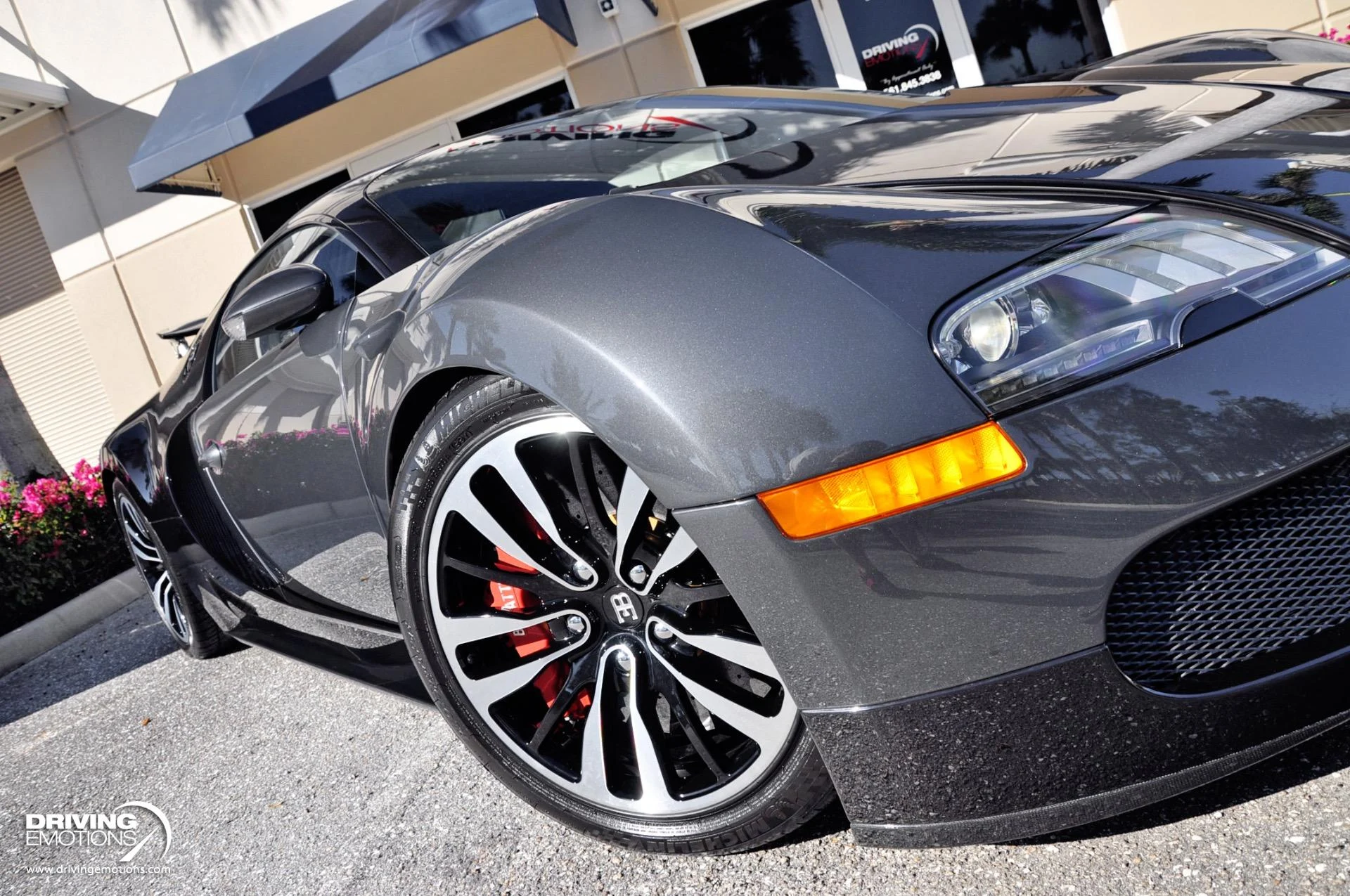 mph010_3983100289_479_p11_l_d163aae942