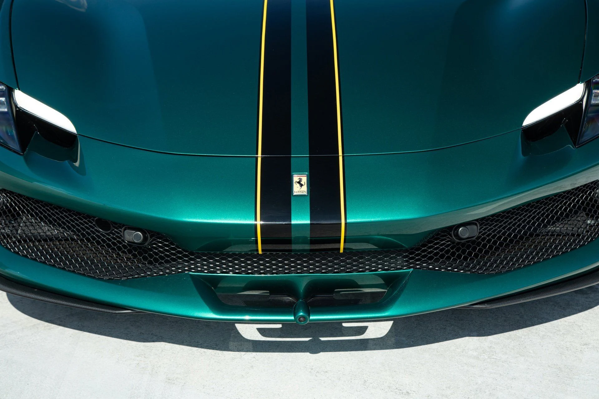 mph010_3984278399_d6599878085218e0869f1beb3c98c9a0_5bae56f753