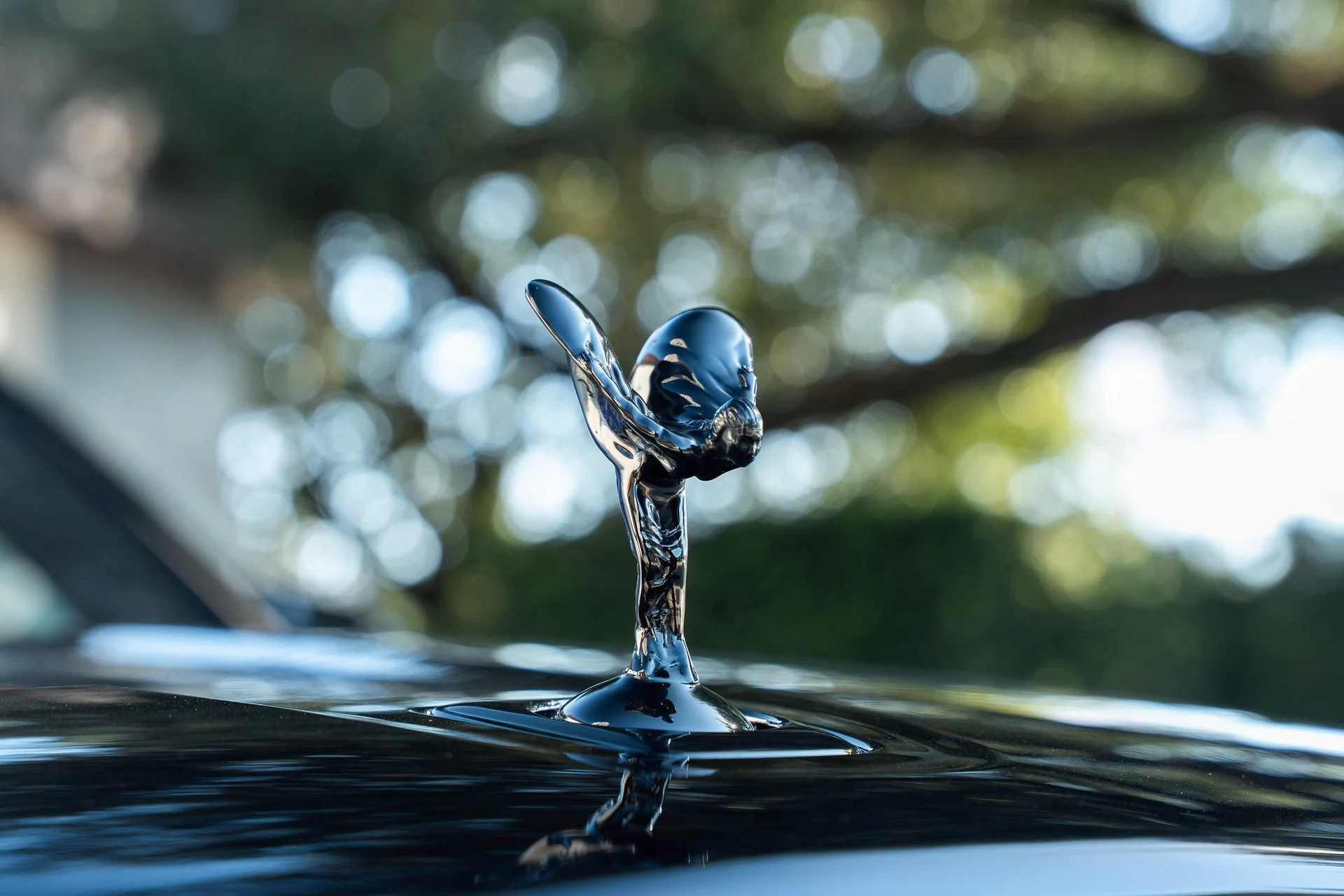 mph010_4014671911_465211305_68f075d11a22d42ee43446b9_1d2f2d46bb