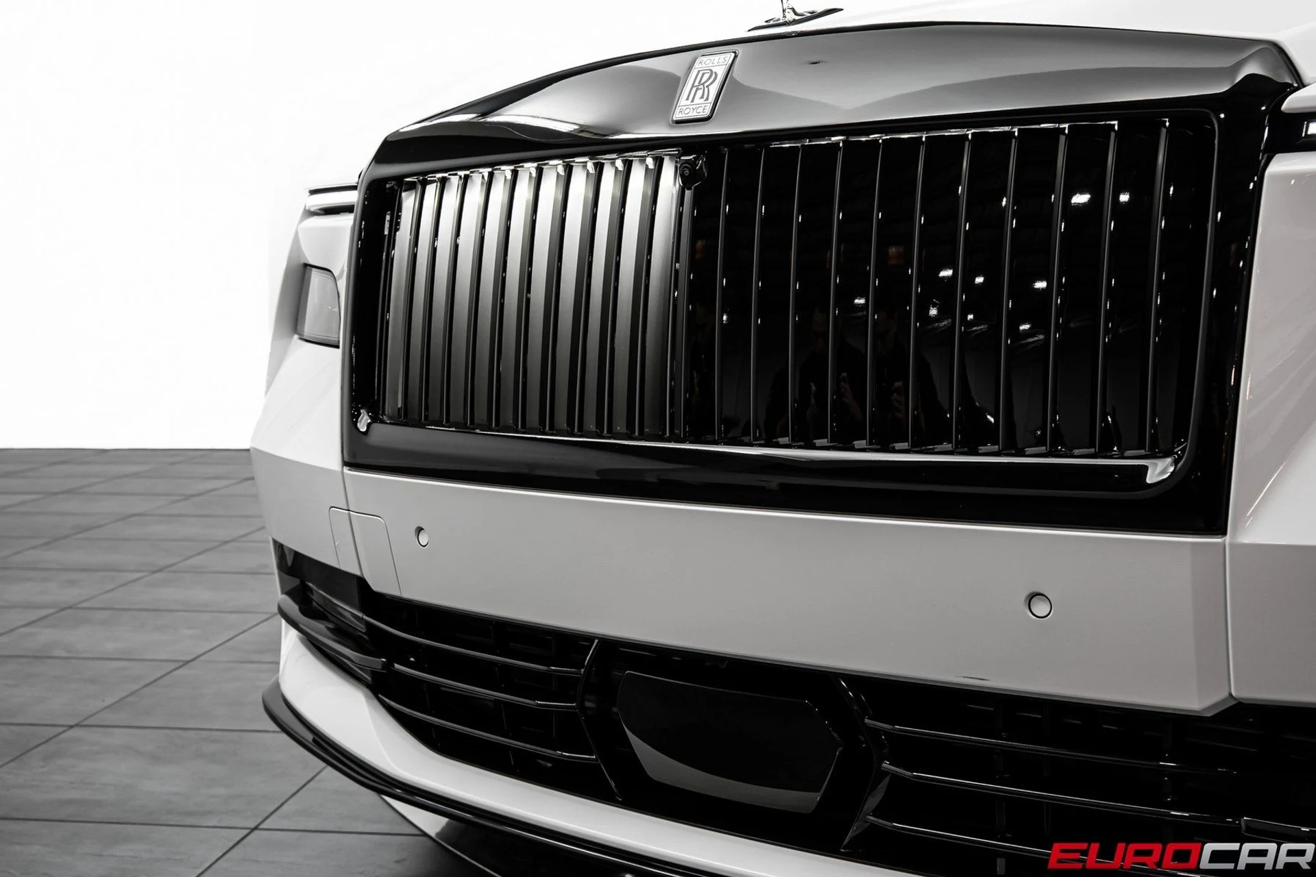 mph010_4043367307_image_11_7117383948