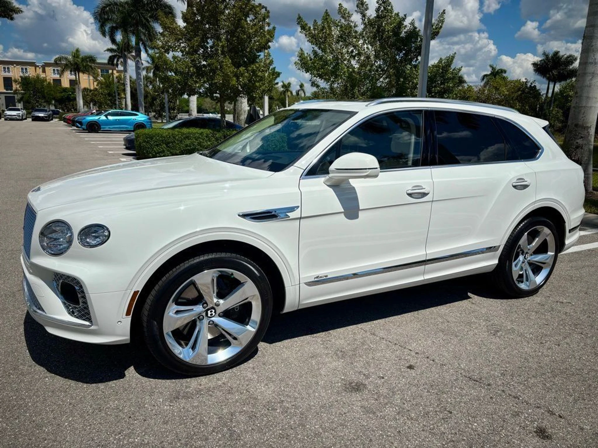 mph010_4087218074_8b670f4ba1bc07bec594ee69219b477d_a39485f806