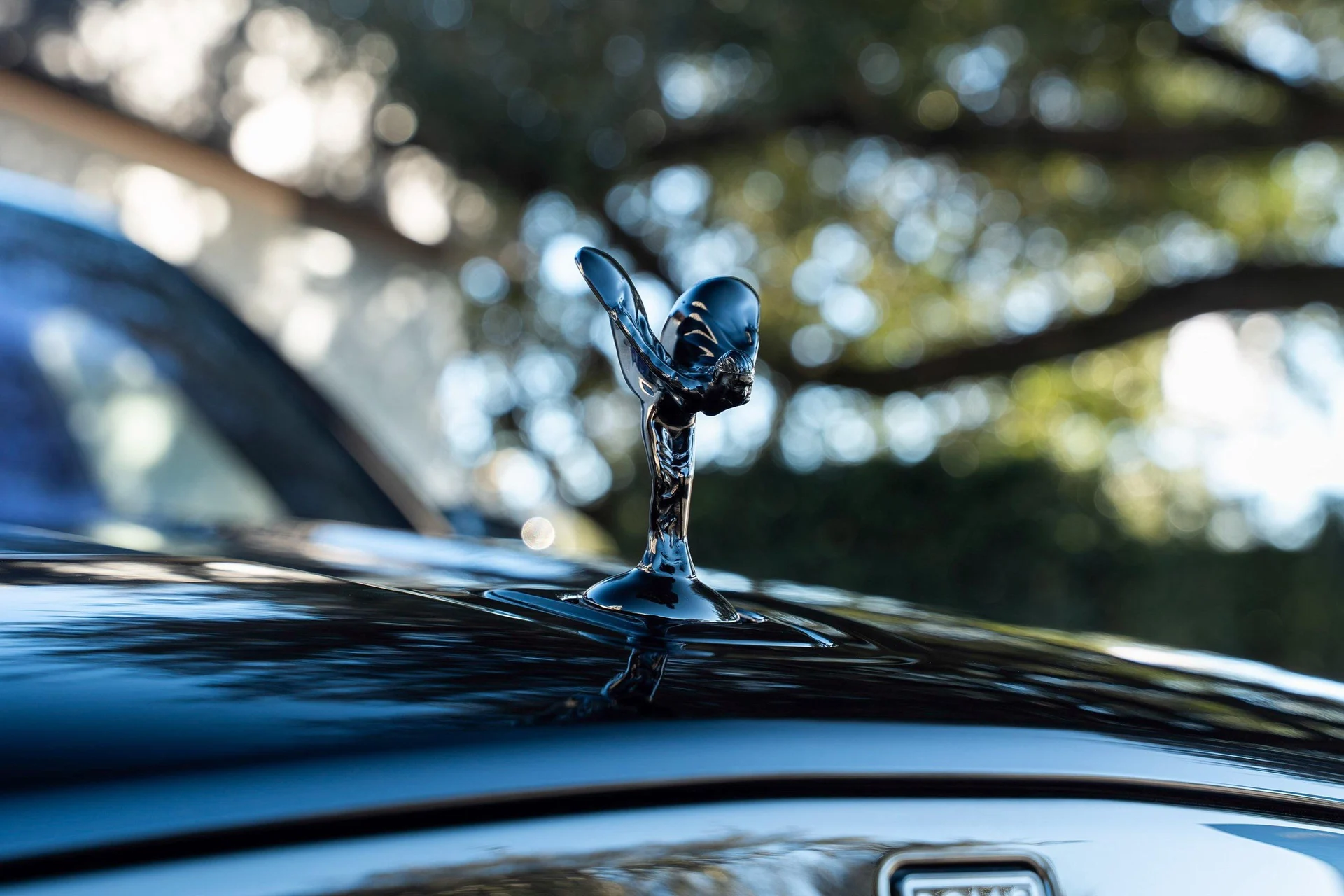 mph010_4146791320_483408136_6969d46d715f2e0a5c25db39_d77ec9b73f