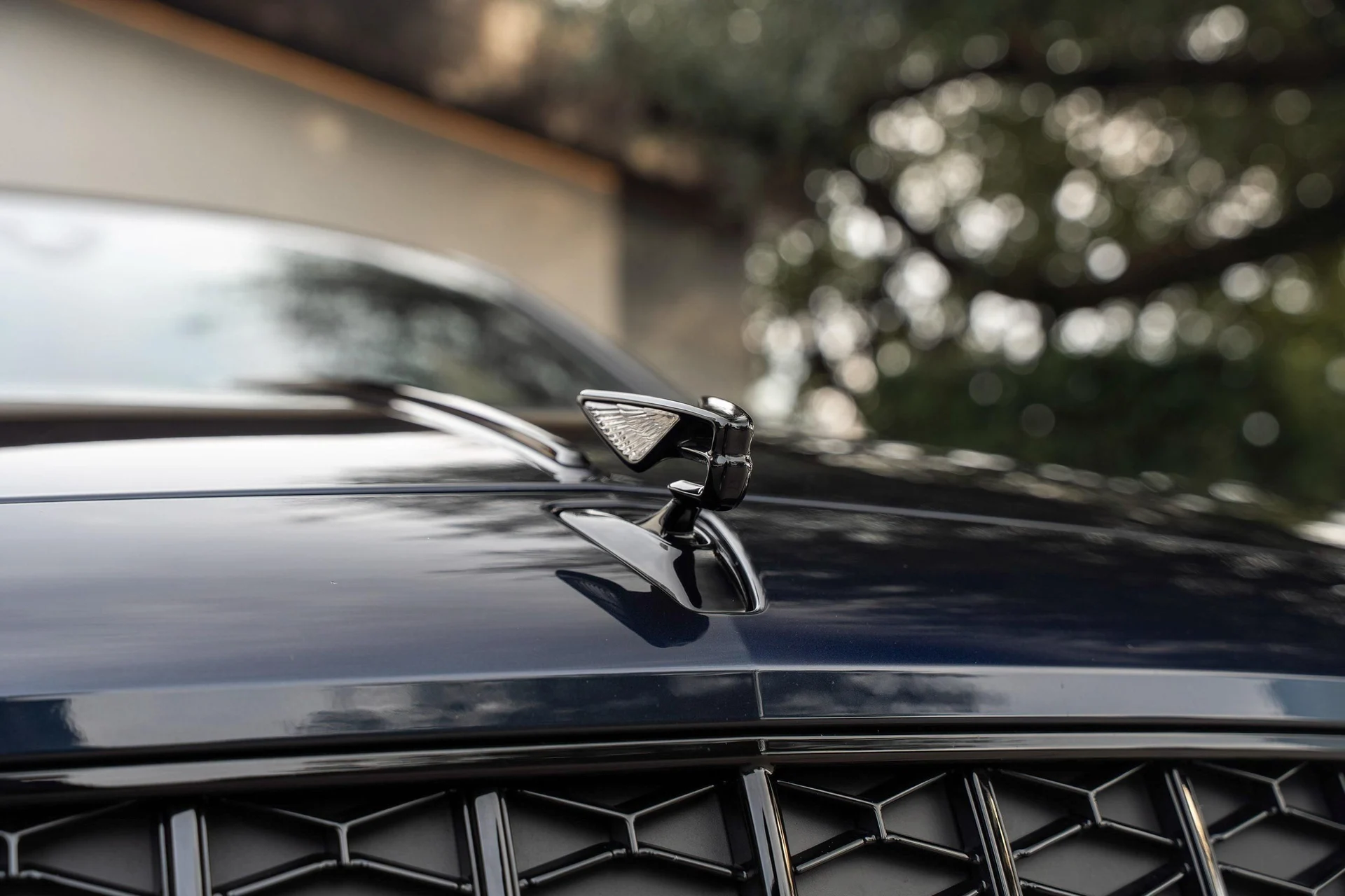 mph010_414952750_489302489_697e3454850c12f3842730df_96ffcee789