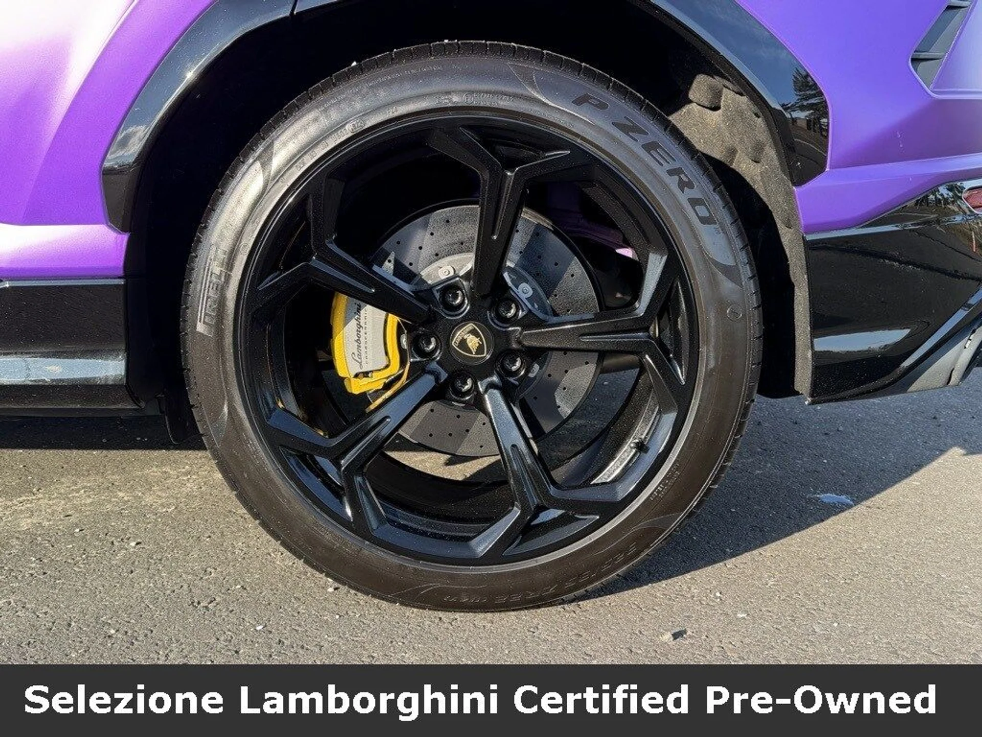 mph010_4150146222_7a9a4d9d02a0ad5324db122da16eab80x_7833e60967