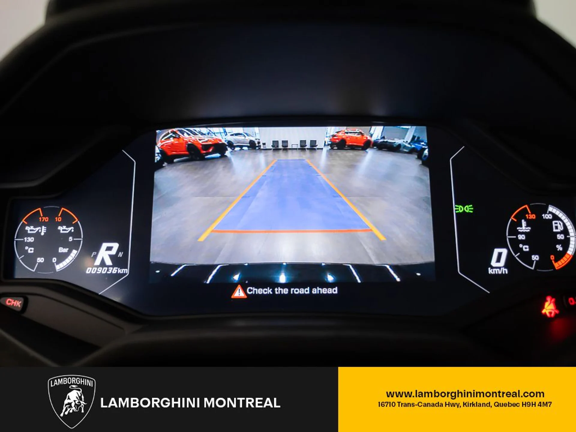 mph010_4151350148_jpg_v_1773863535_4f5dcf690a