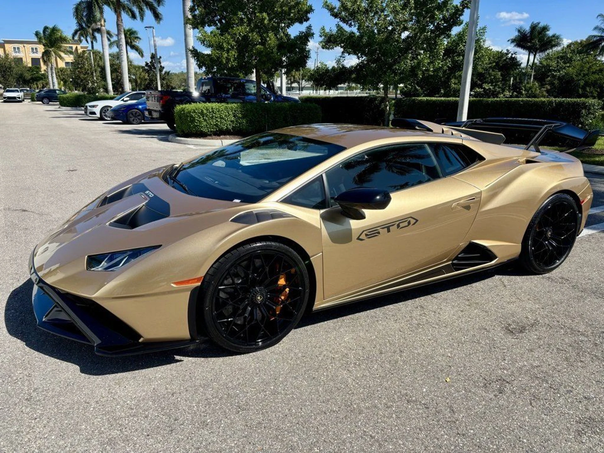 mph010_4173452267_4581ffba75b1d698b06cbc0eddc2bd34_1617444e20