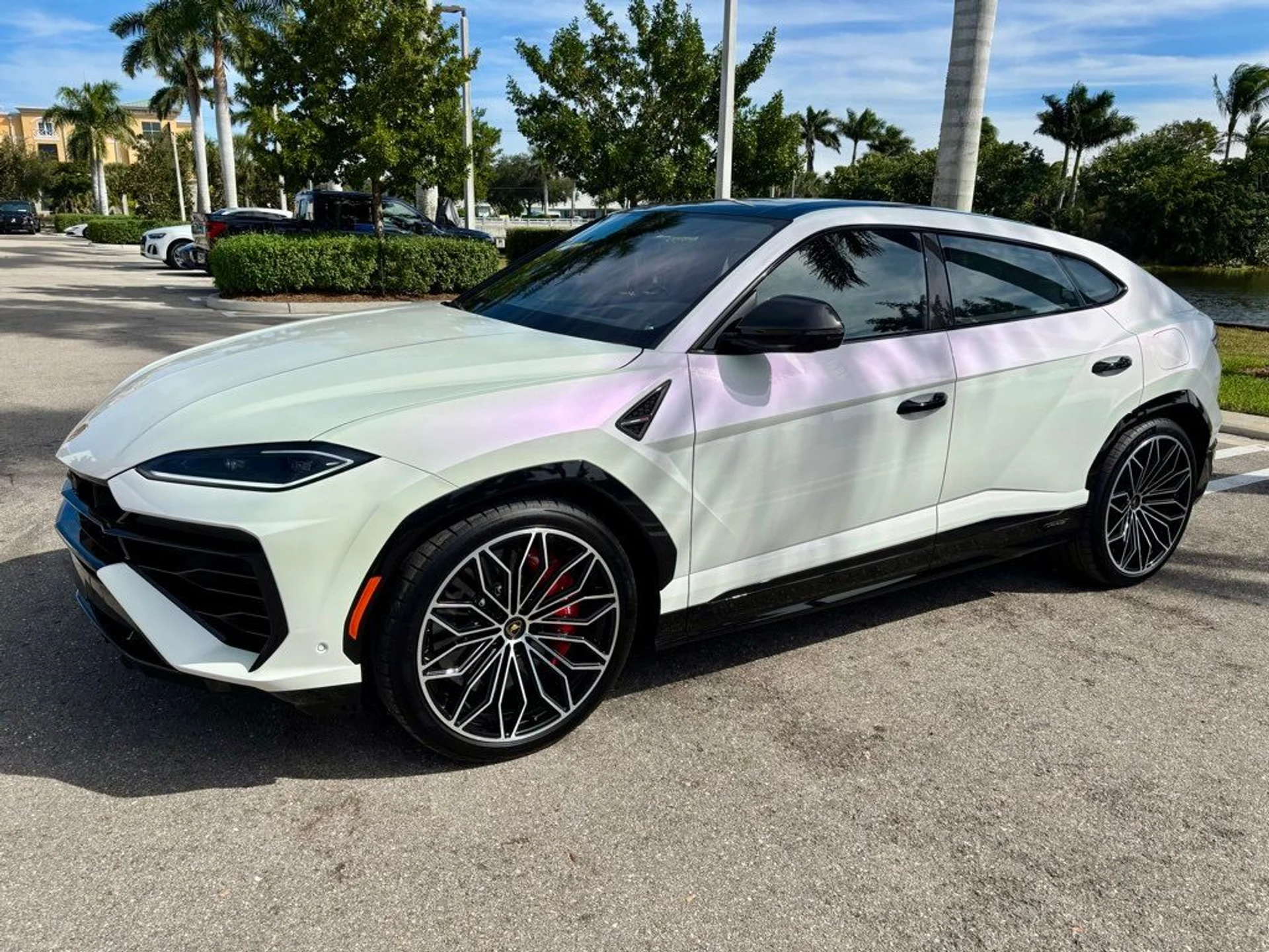 mph010_4175897310_e5ed9fe7477a903cb5d7296e30a42605_4d8cf7f088