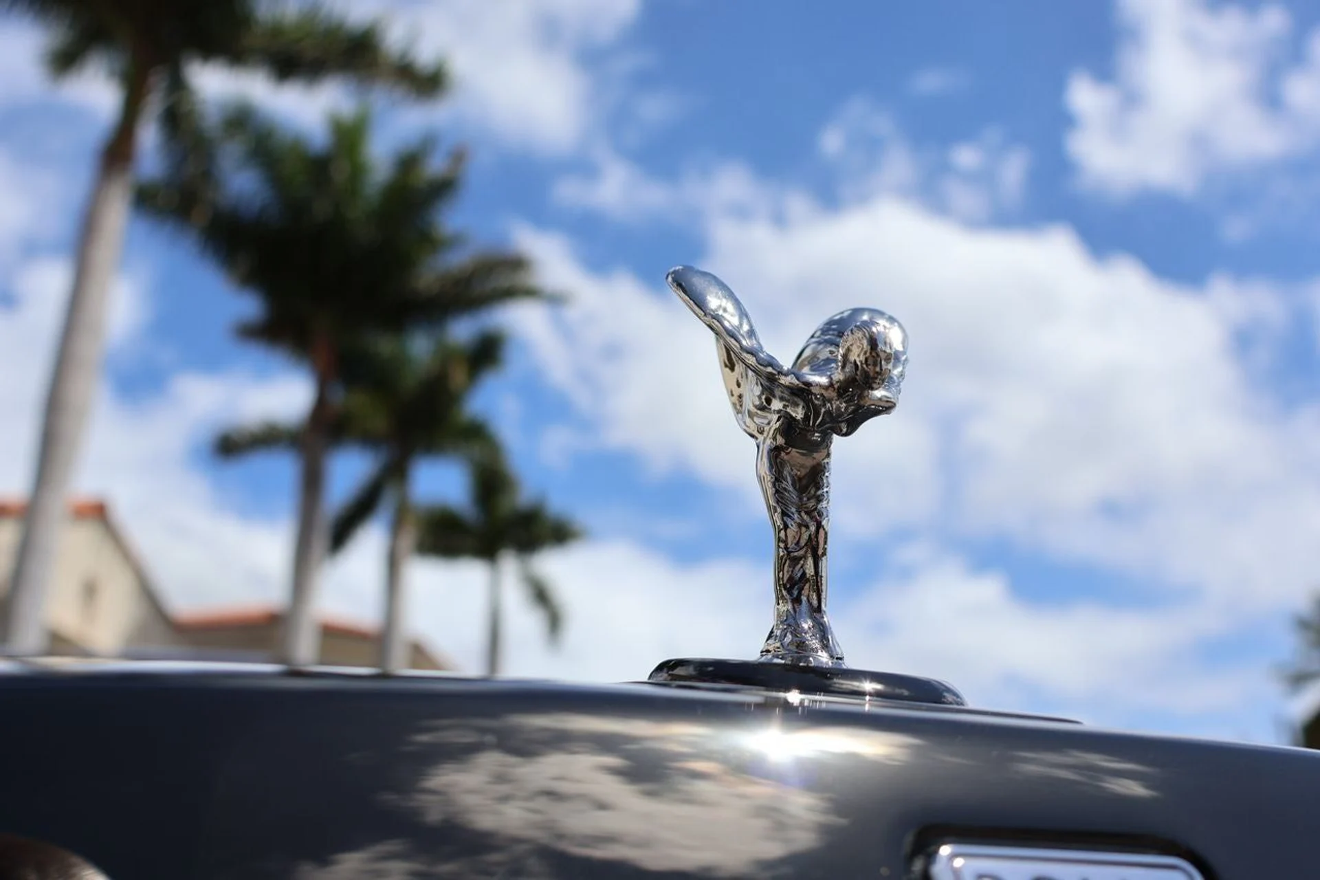 mph010_4205718154_11_d0272b80de