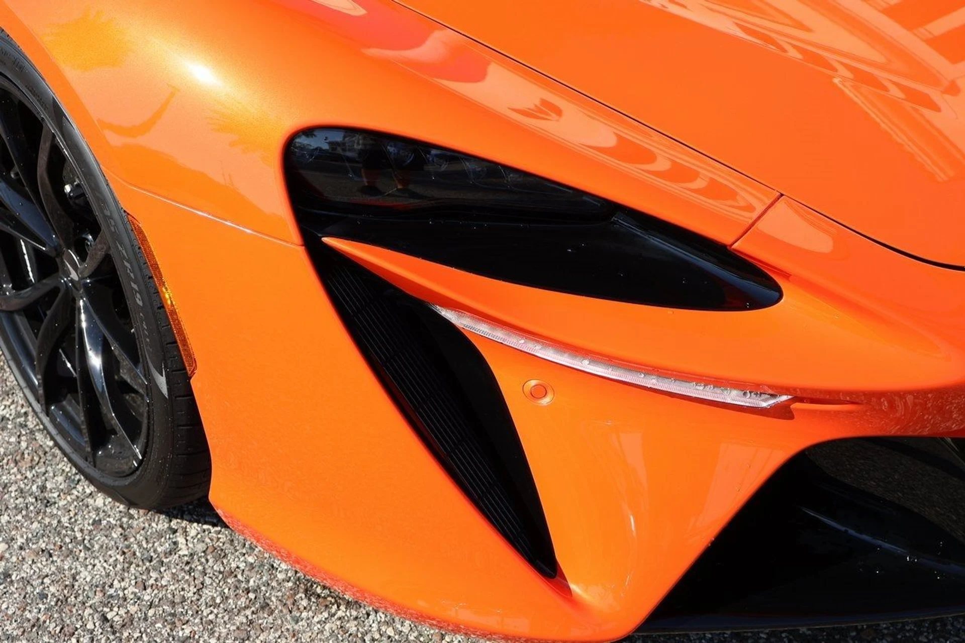 mph010_4250642790_11_8918e53634