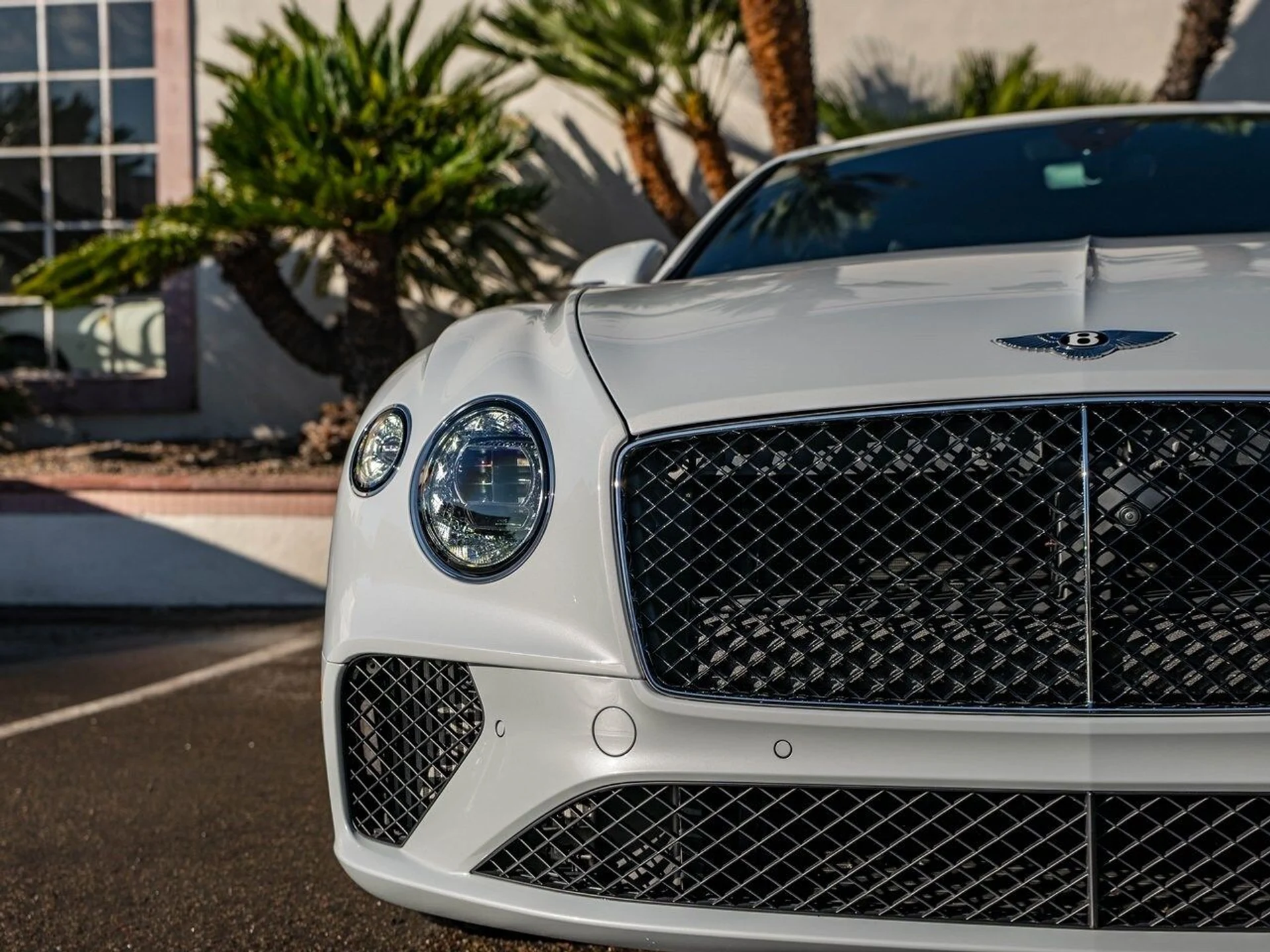 mph010_4284129468_6a283356f75e5cb483d52d997e2082d3x_02f27c1b6c