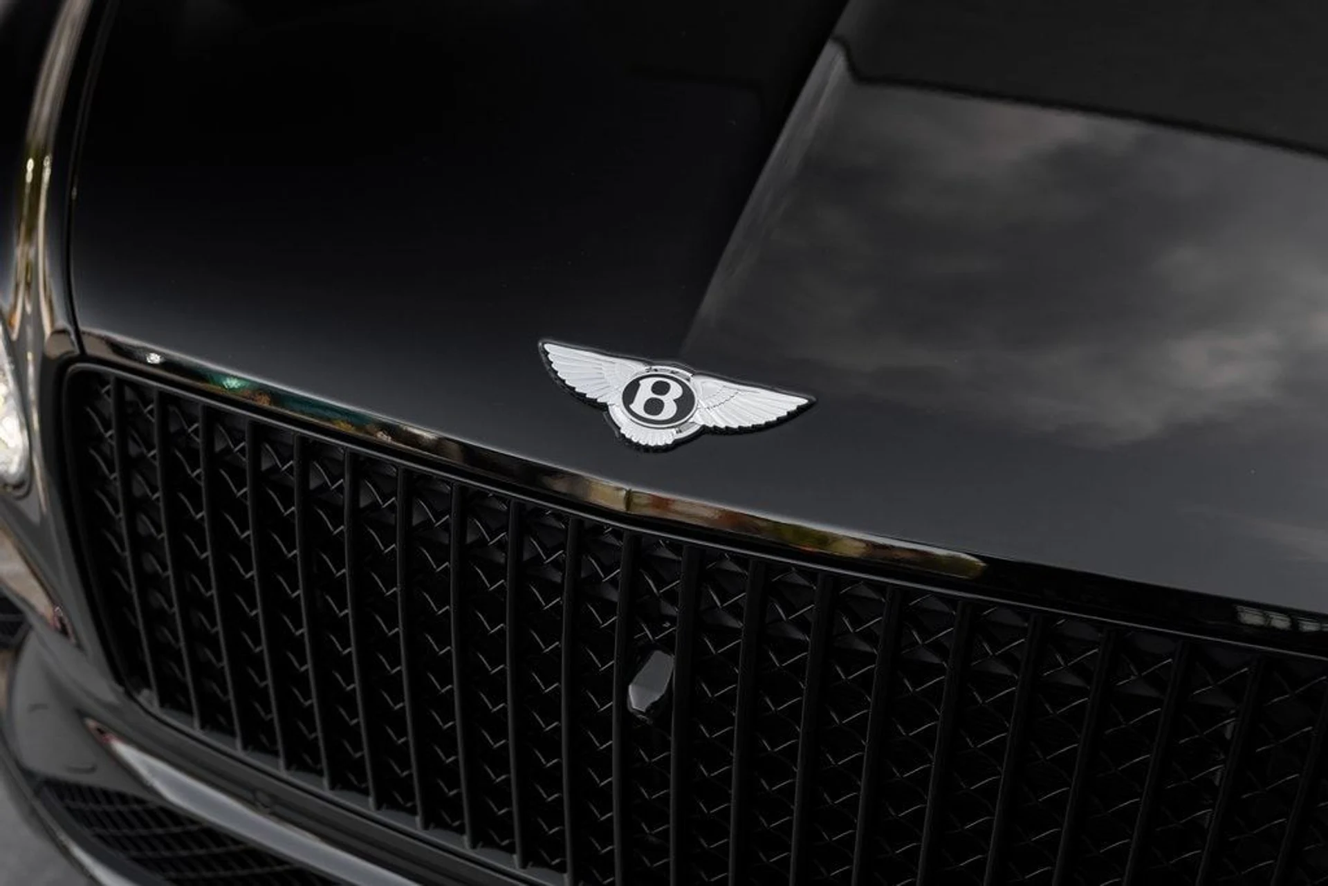 mph010_444837545_692a38b336ac728339ef5bdb6cc3ff08x_42b06ea923