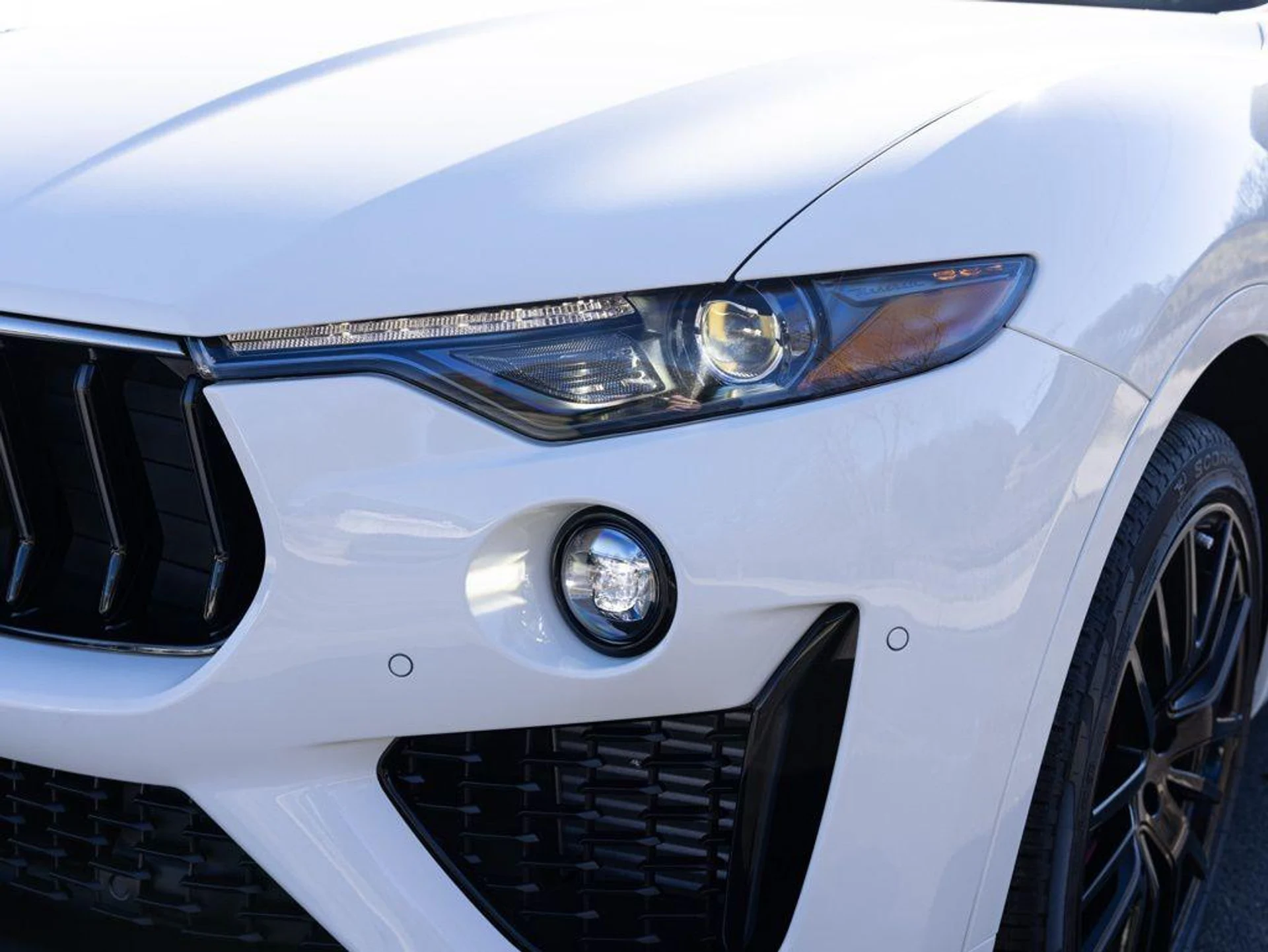 mph010_458828160_481733642_698759a1c664477535e8417c_fccecff068