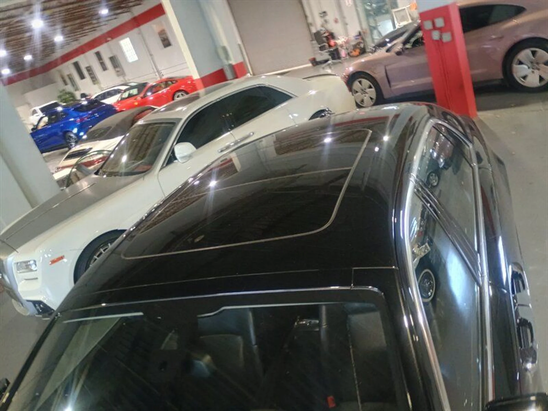 mph010_481694371_542506cefb_800_092a8218b2