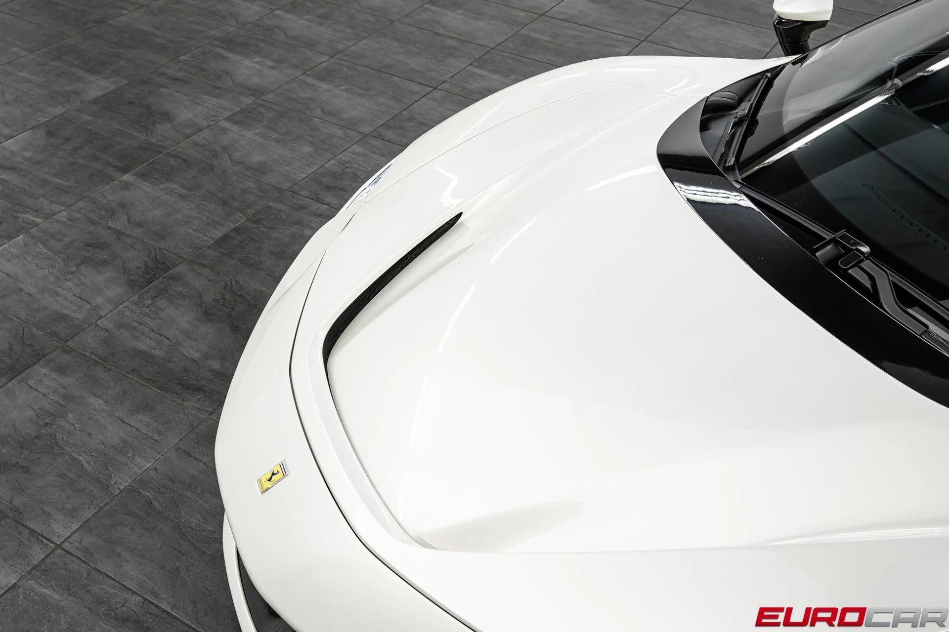 mph010_482770403_image_11_224db86448