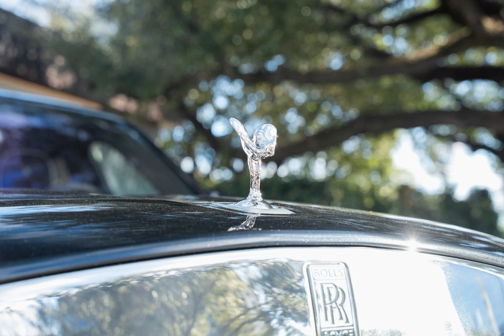 mph010_510281358_476162067_695cc4728f3ee920bf51883b_9ef02e745a