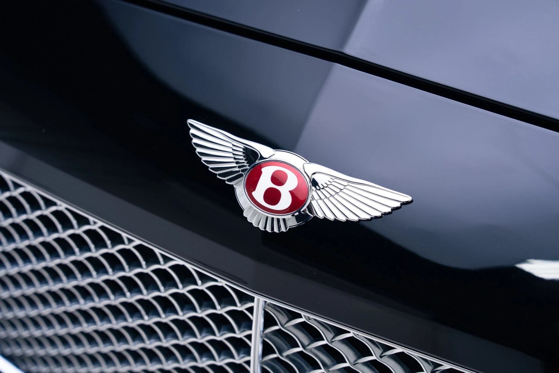 mph010_531450956_Used_2017_Bentley_Continental_GT_V8_1768413711_c3c2d38b67