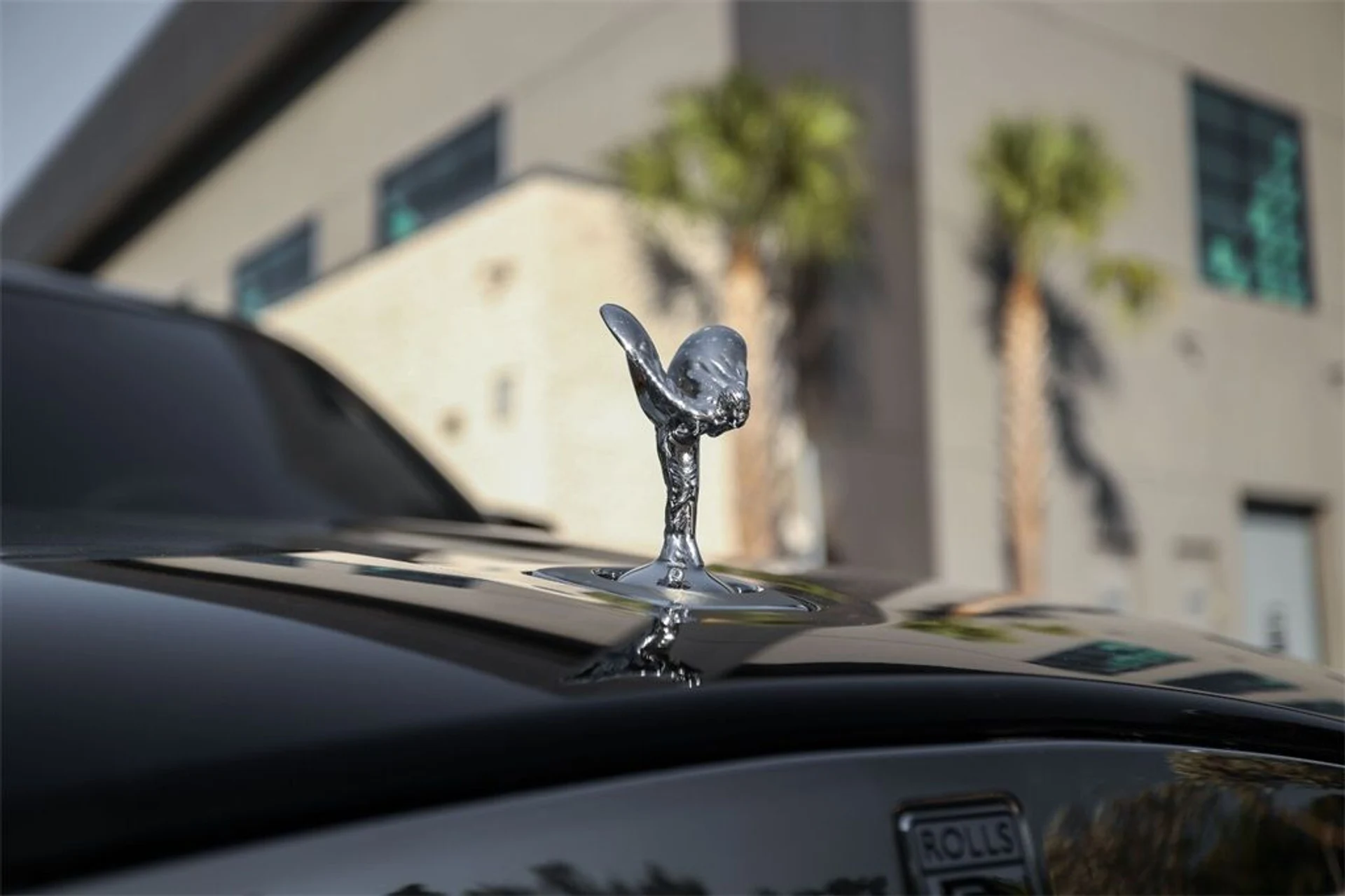 mph010_616878510_09e2fc83825595a7998df6468bc8568b_90bd8955cd