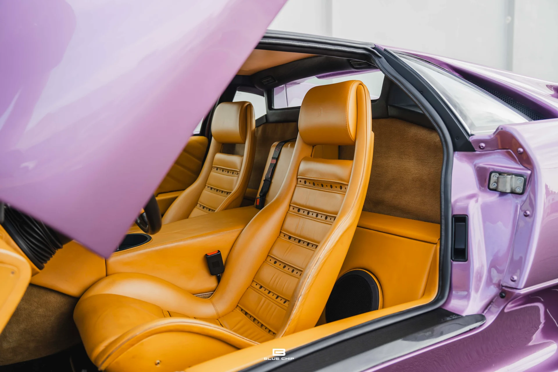 mph010_631935688_68965d97b59d794041e50c9b_DSC_01995_cdbdb638d1