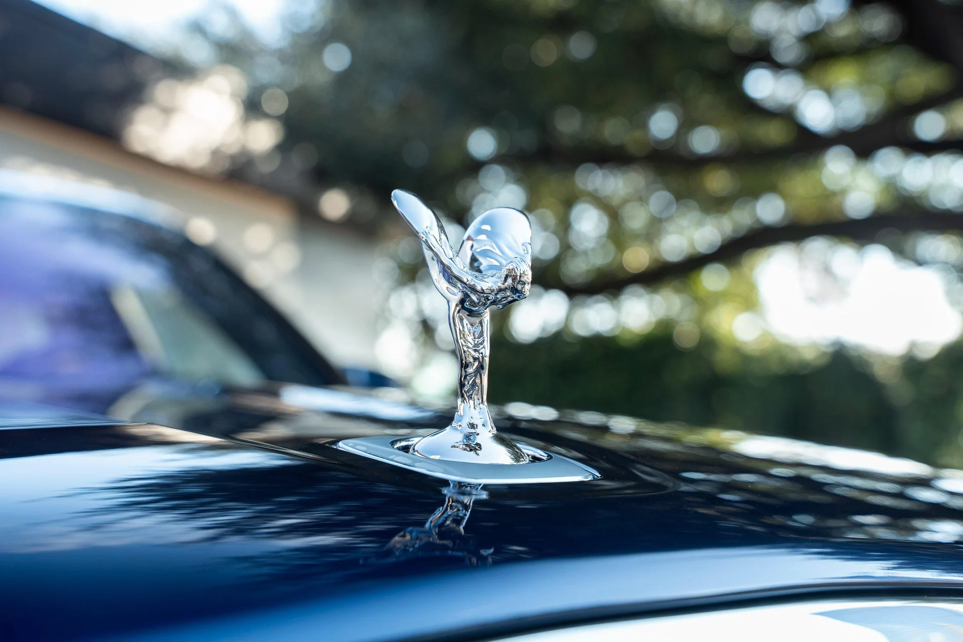 mph010_704251219_465211304_695cc2a88f3ee920bf5187b7_e88e857dd9