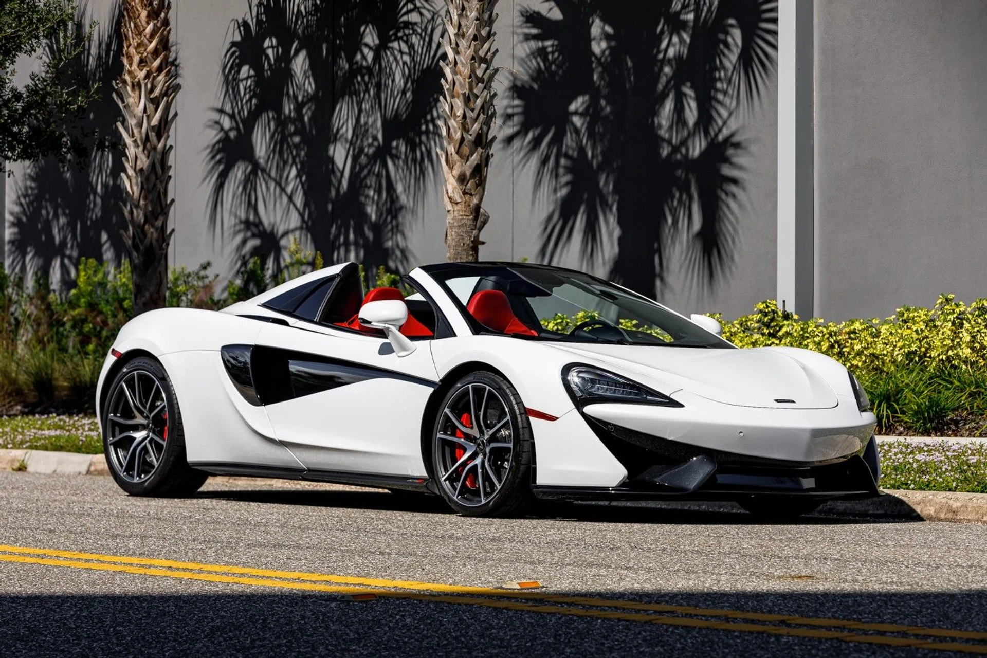 mph010_7798058_607_p11_l_febe3aa14b