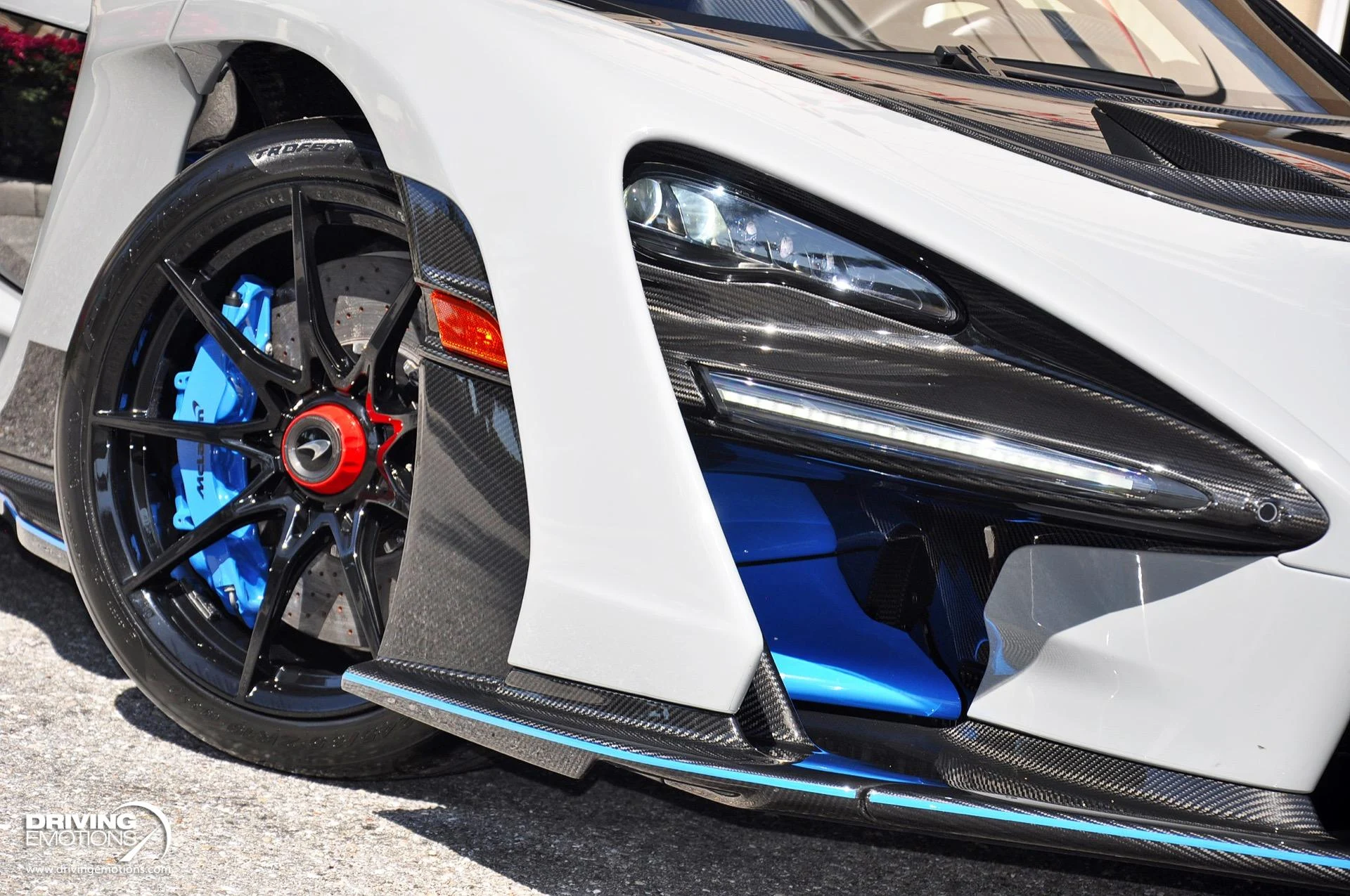 mph010_904980009_683_p11_l_30961c3e21