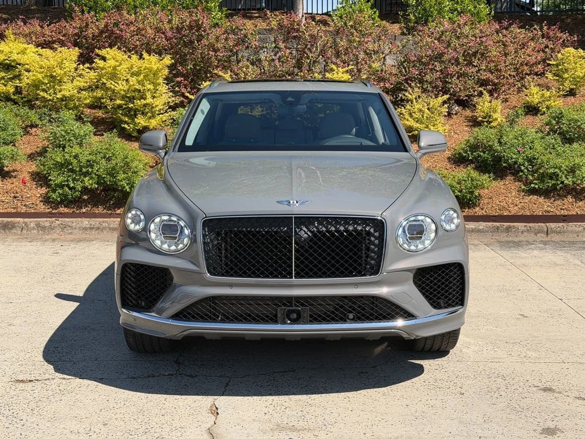 mph010_920666556_812af05024ec43fd98cafb0998759a44_73108d4a45