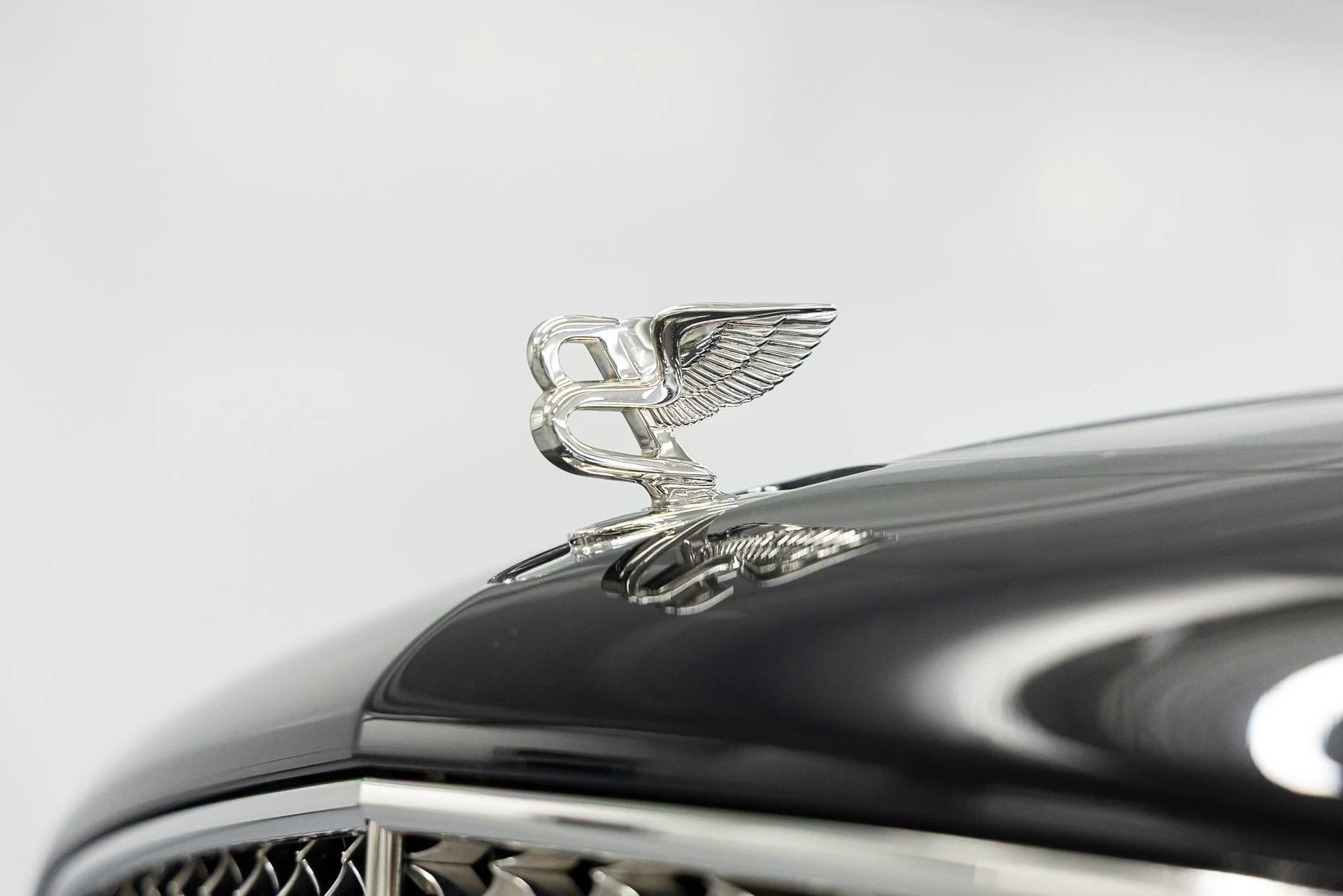 mph010_929826632_e8062d076350bac1eef3314f7789c294x_d553b486ce