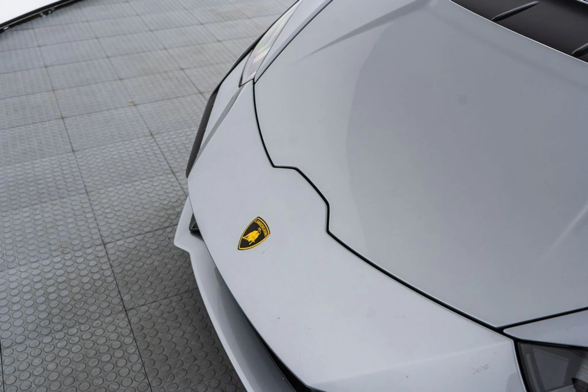 mph010_962059971_11_26067462_6949f9a8c6f36_49445e5b12