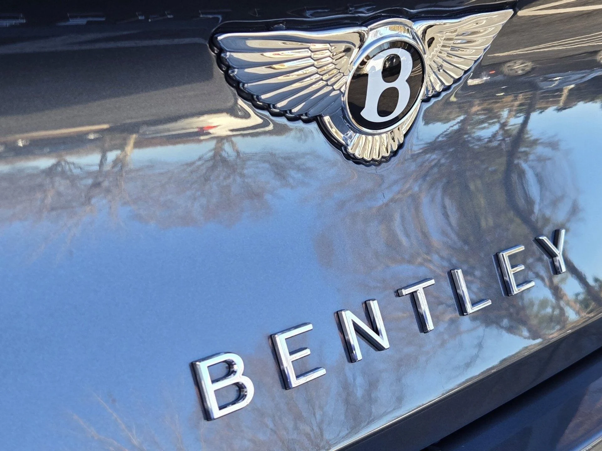 mph011_1015459055_39abff87c3f3f09ad0277cb1ab493b30x_24f93d0300