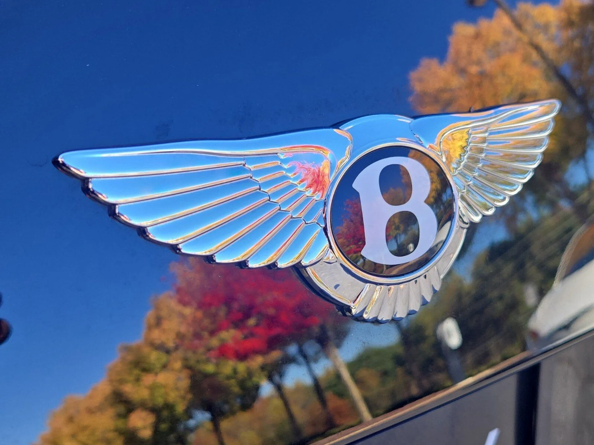 mph011_1041298659_9b6c3c89c082556cdb7965eafb9de4d8x_ffbb3ab318