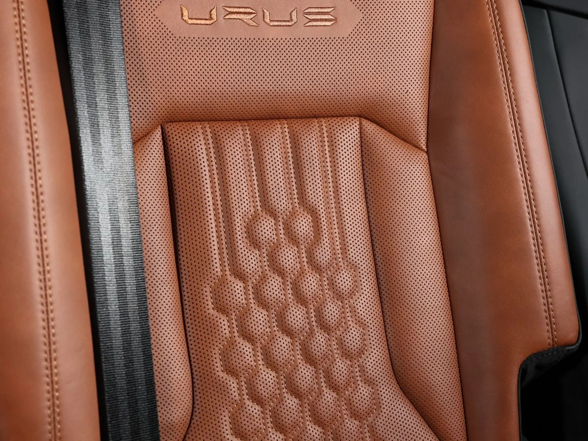 mph011_1078698417_n5ob7d7mqp11lqjuctqnmm5g8fp0_e63889ac01