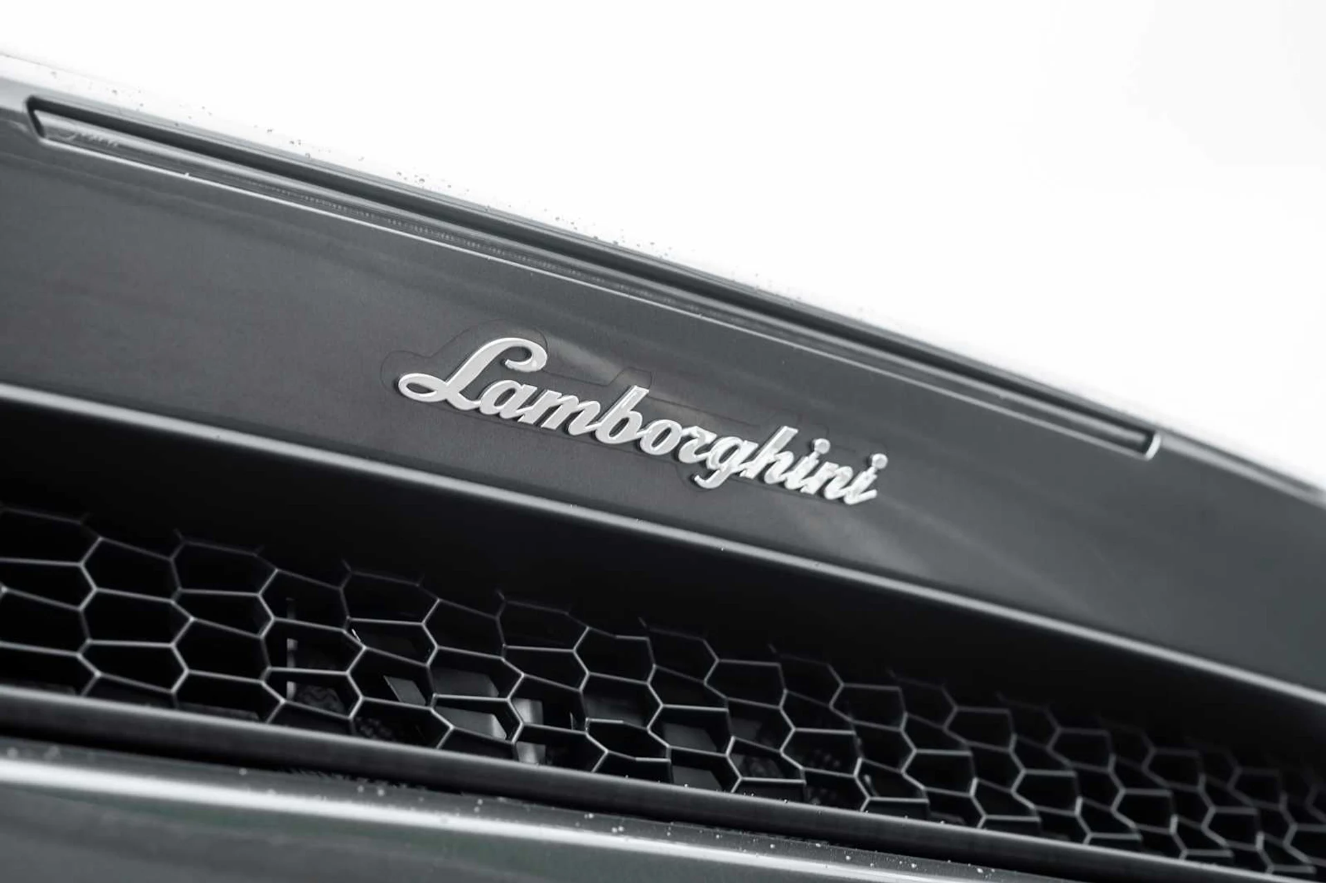 mph011_1200423608_b602565792e35e33a704d5e6261123c2x_e87ef484d2