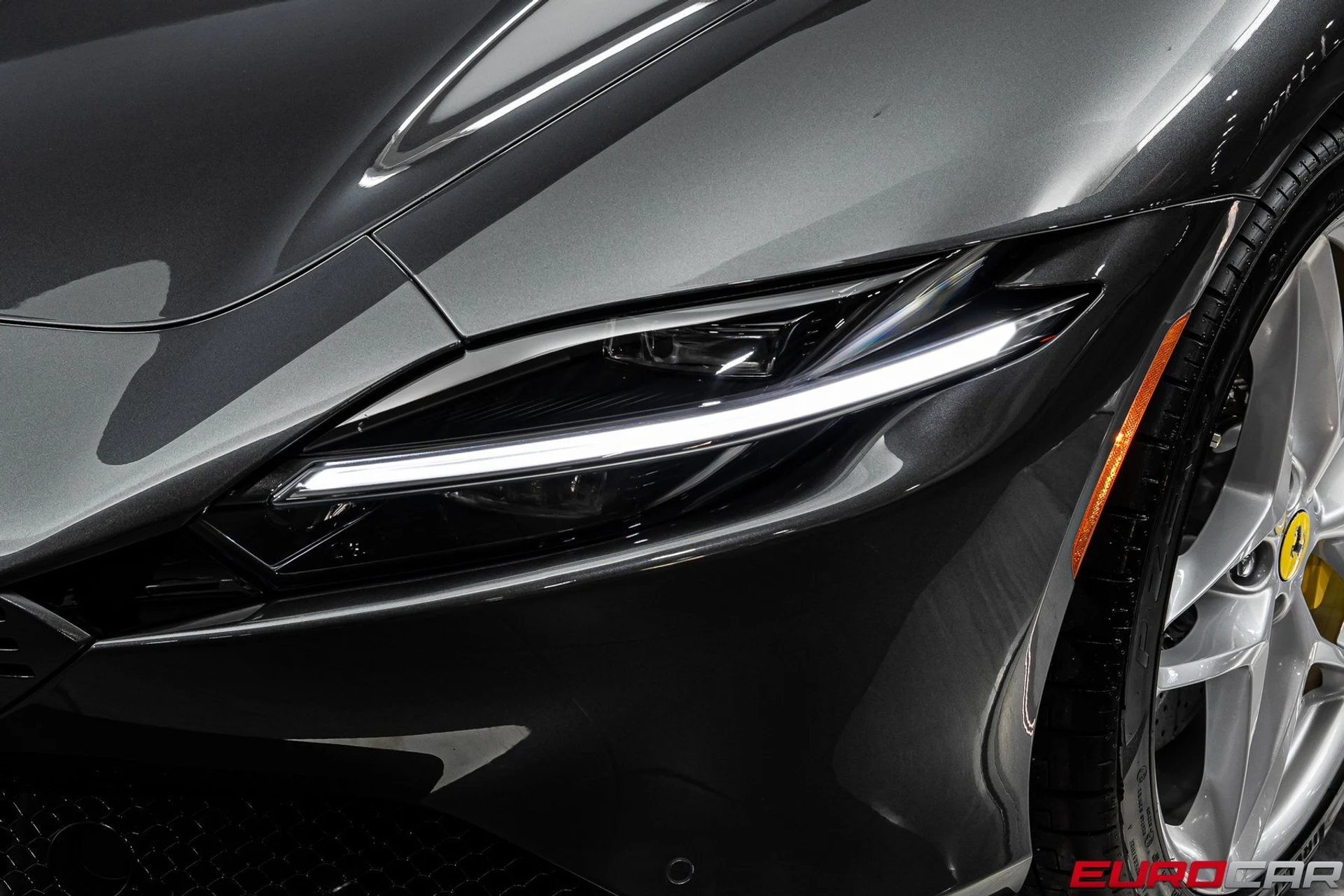 mph011_121012728_image_12_404e536beb