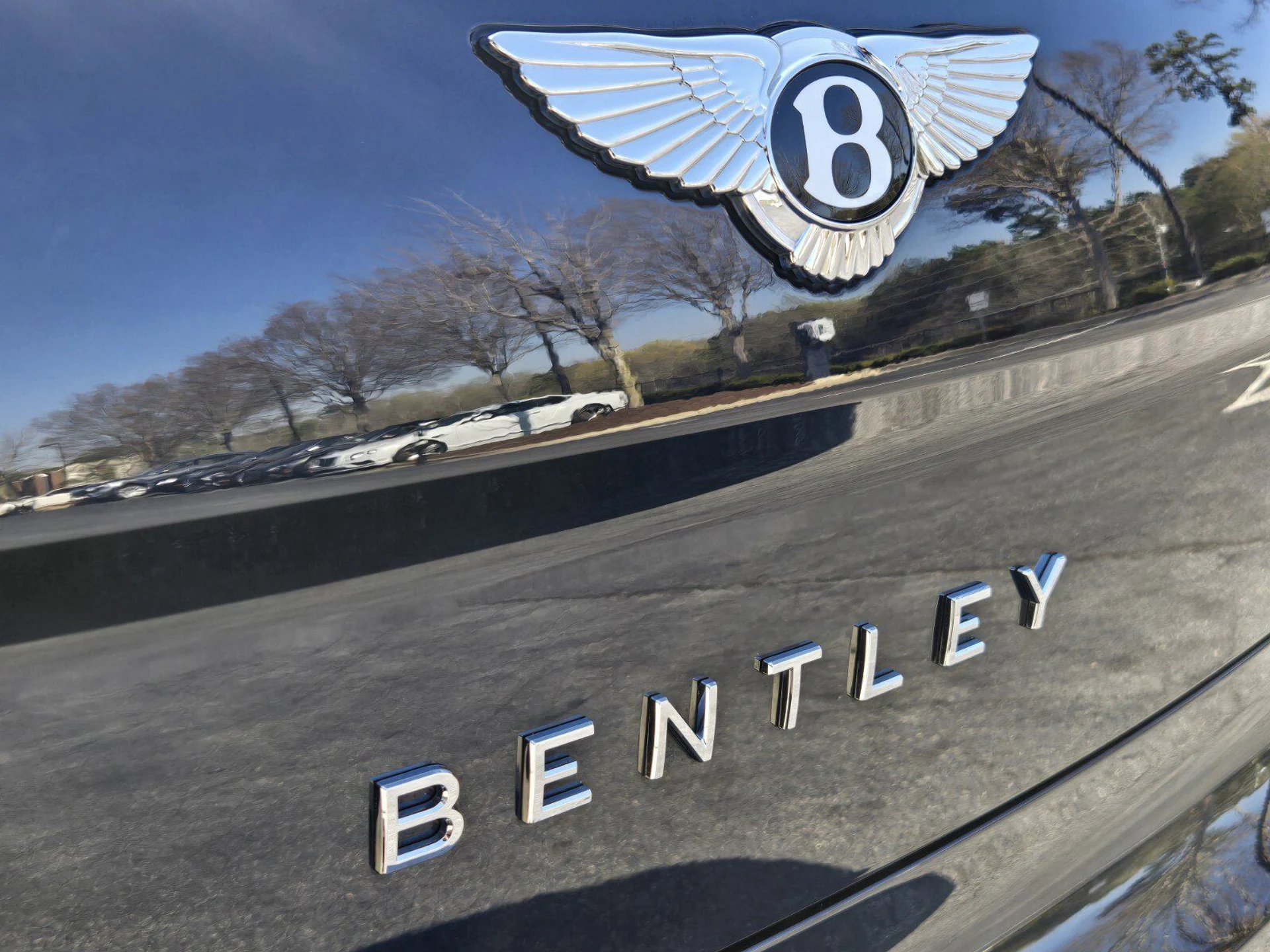 mph011_1233883870_623e3354599af897fcf4c206968b67b2x_7ce048dce8