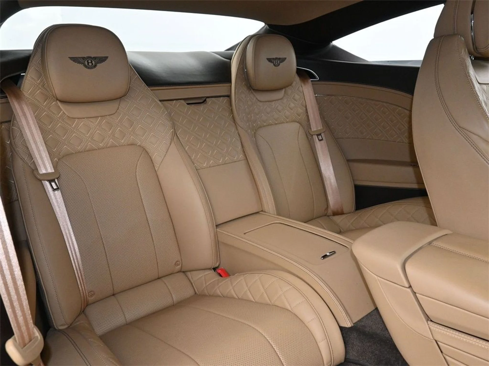 mph011_1267802252_f578a238301bbfd4666ebe0d9f553a03x_02619d9a39