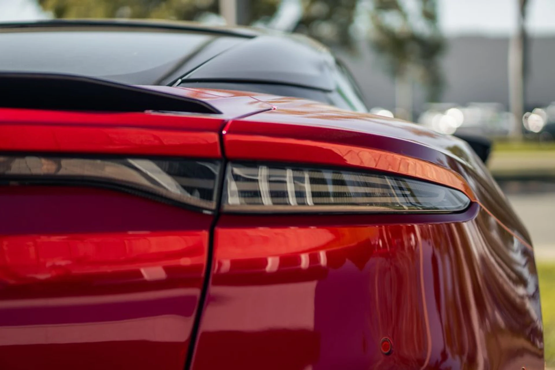 mph011_1296209114_574c40859d1aed96fd4d9356216f21f2x_31df1b9c80