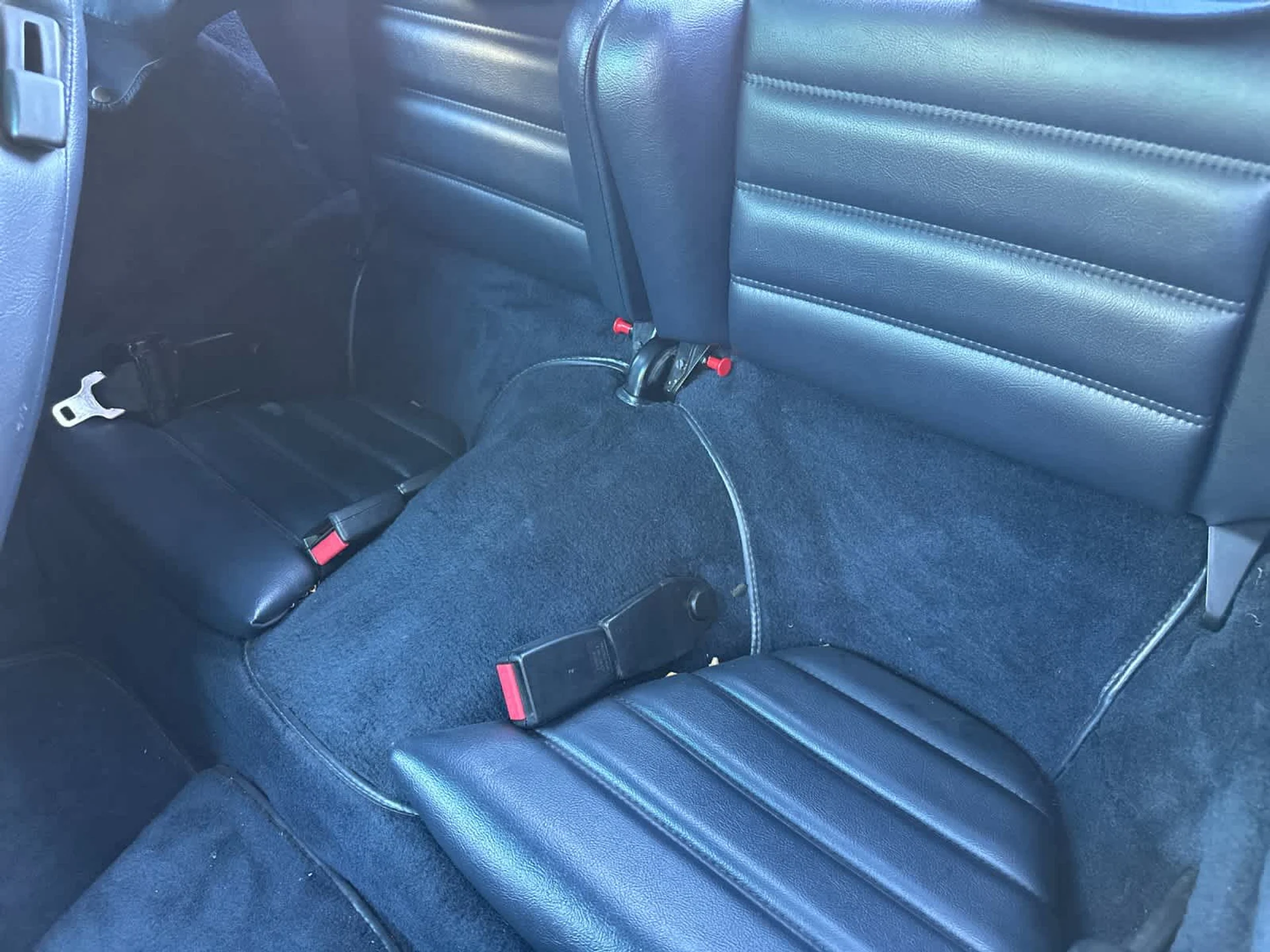 mph011_1297660123_12_a8e8947313