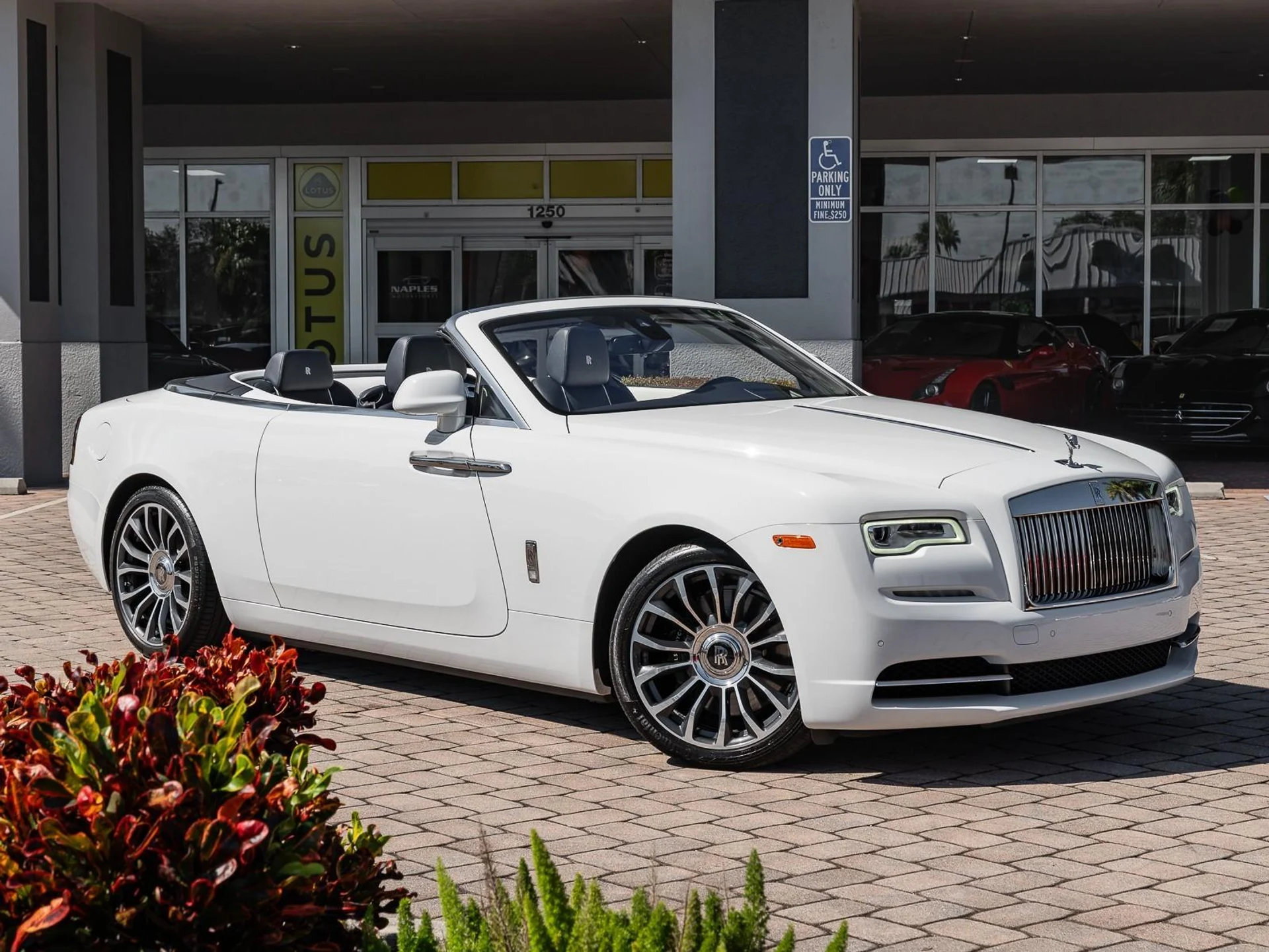 mph011_1318114812_Used_2019_Rolls_Royce_Dawn_1761832847_368a06df57