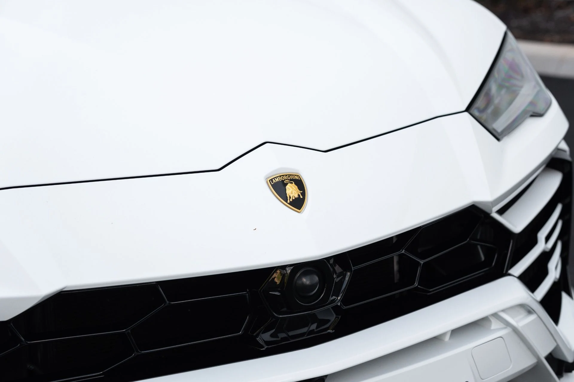 mph011_1393592971_Used_2022_Lamborghini_Urus_1778780511_19d5ea2047