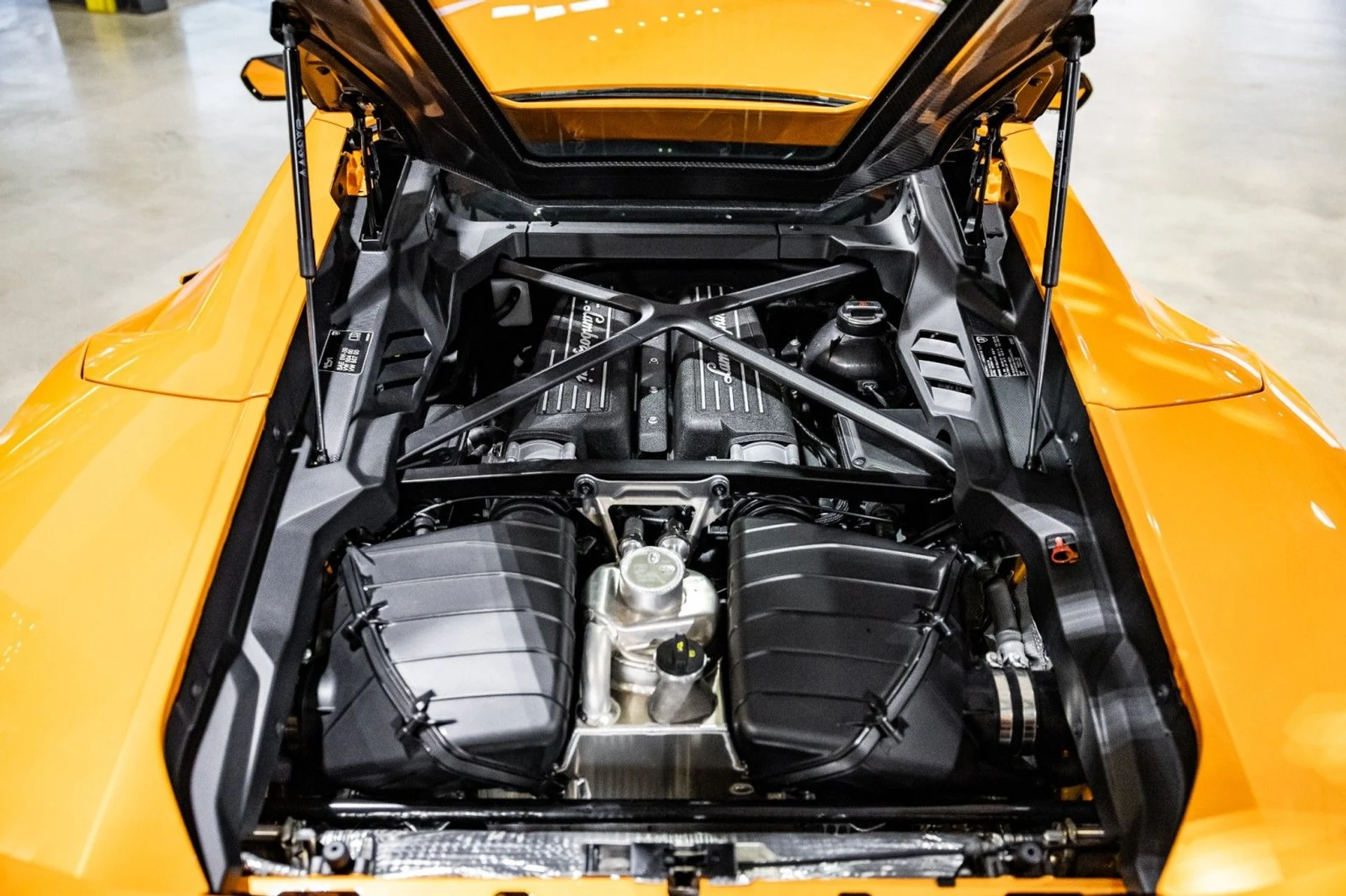 mph011_1452560229_0w_f596ee9905