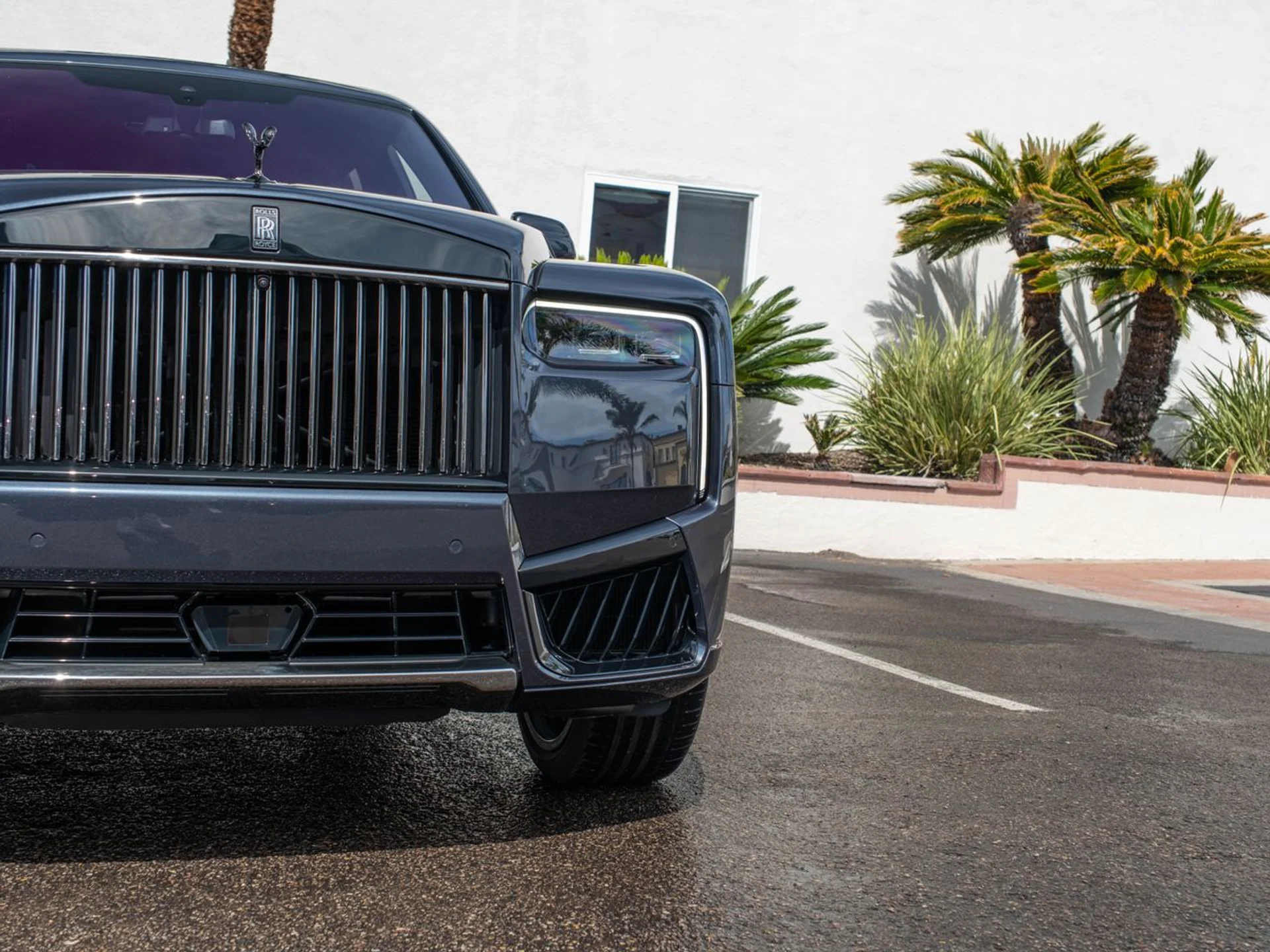 mph011_1490231260_992d236b86e583b7d2ec7c6d4feacd9cx_7b0497defc