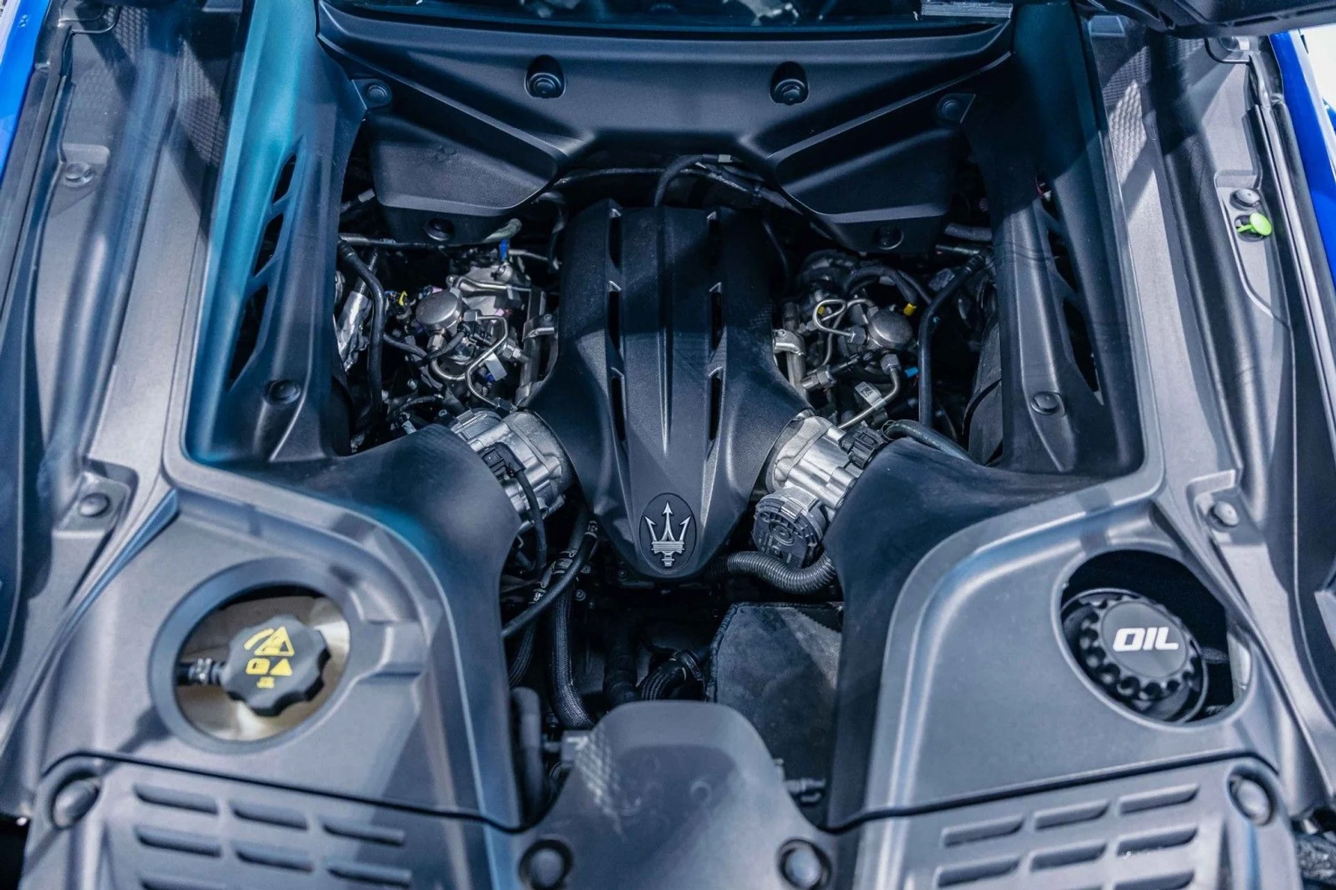 mph011_1513558274_0w_7456a54c61