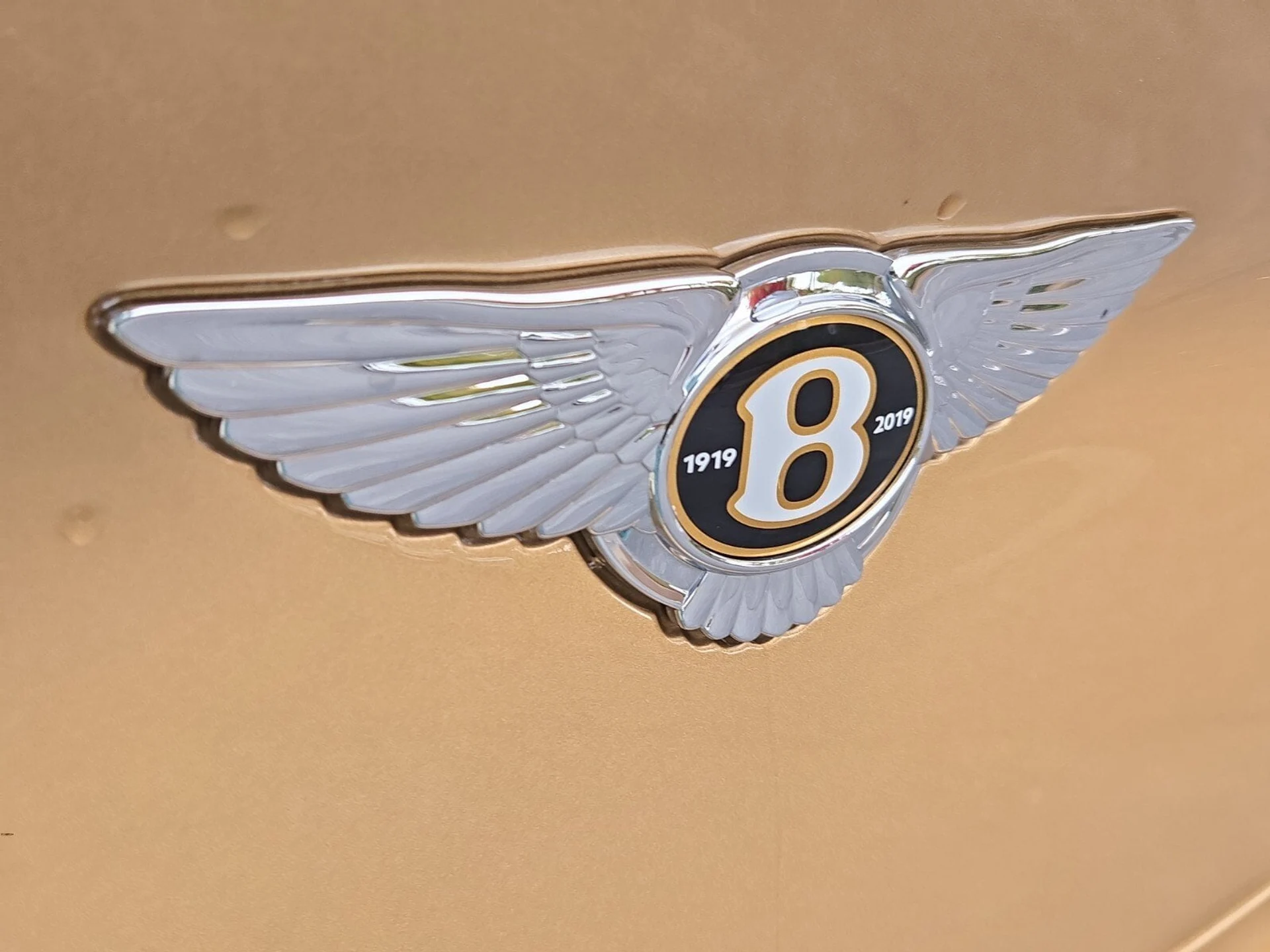 mph011_1519955017_b6a08a9af6959a55dfae3480ff25c989x_033824de54