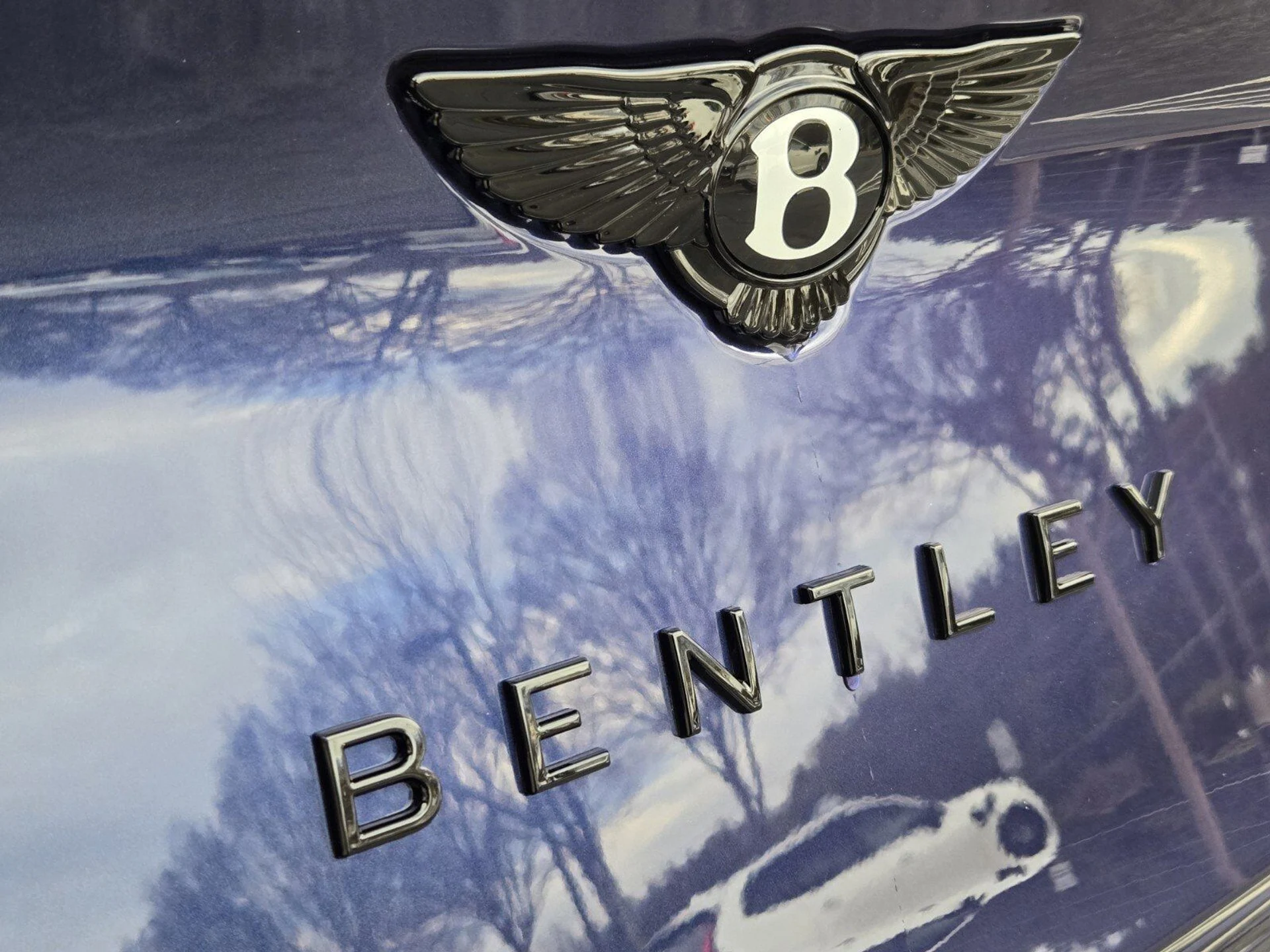 mph011_1764195992_bb7c484f07a30c65bf2f8223aaa148d2x_c4557bf914