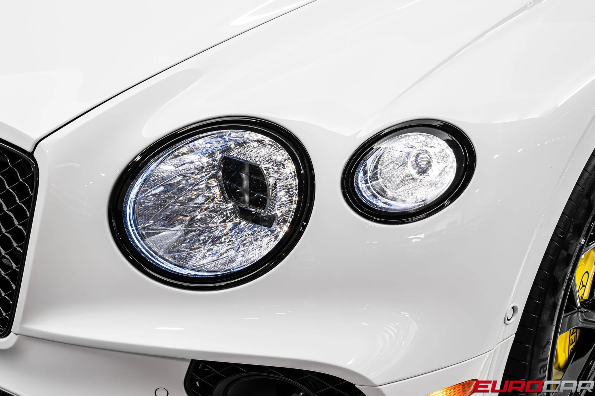 mph011_1771362075_d45155a1_4823_41b2_9e54_eb9bce74110b_7ce5ffa1c7